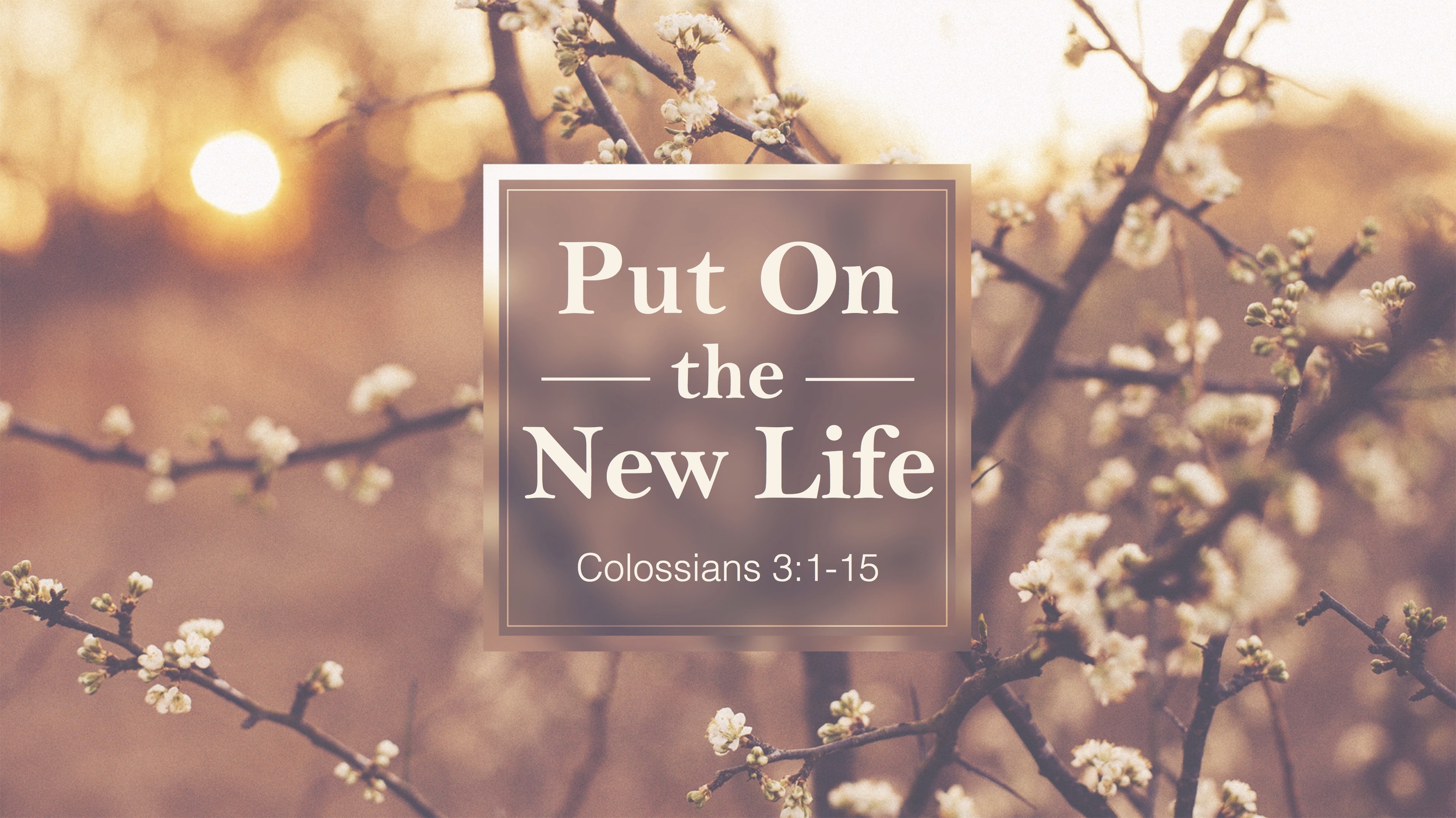 Put On the New Life