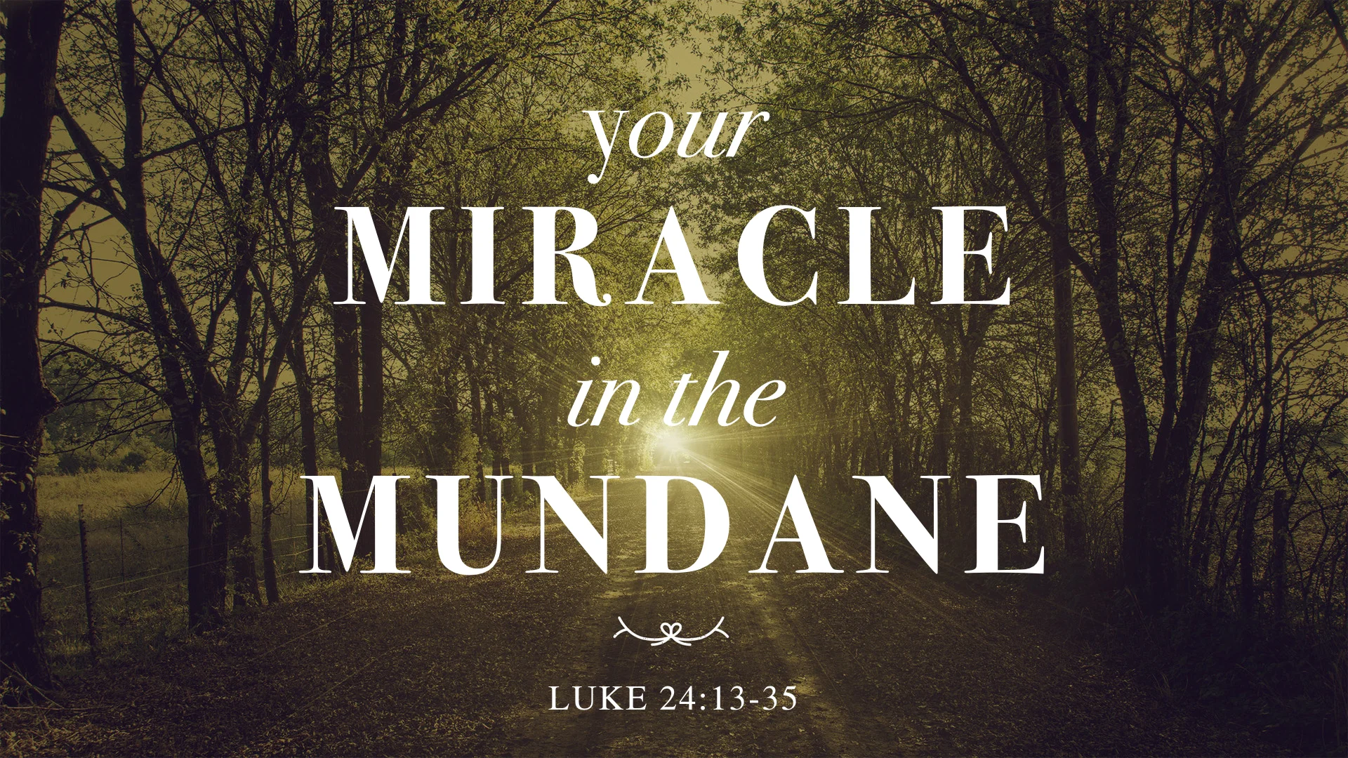 Miracle in the Mundane