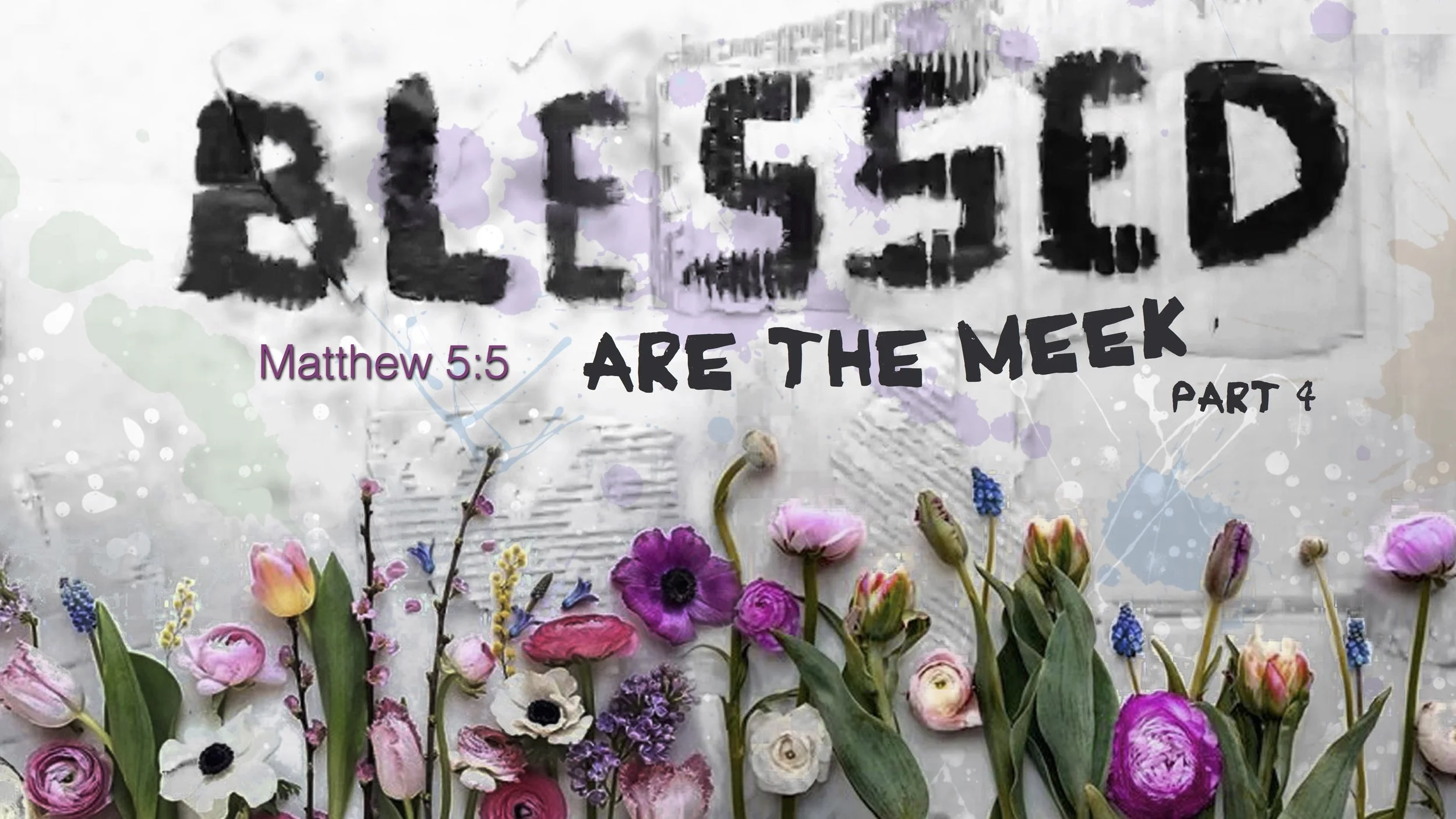 Blessed - Part 4 - Blessed Are The Meek