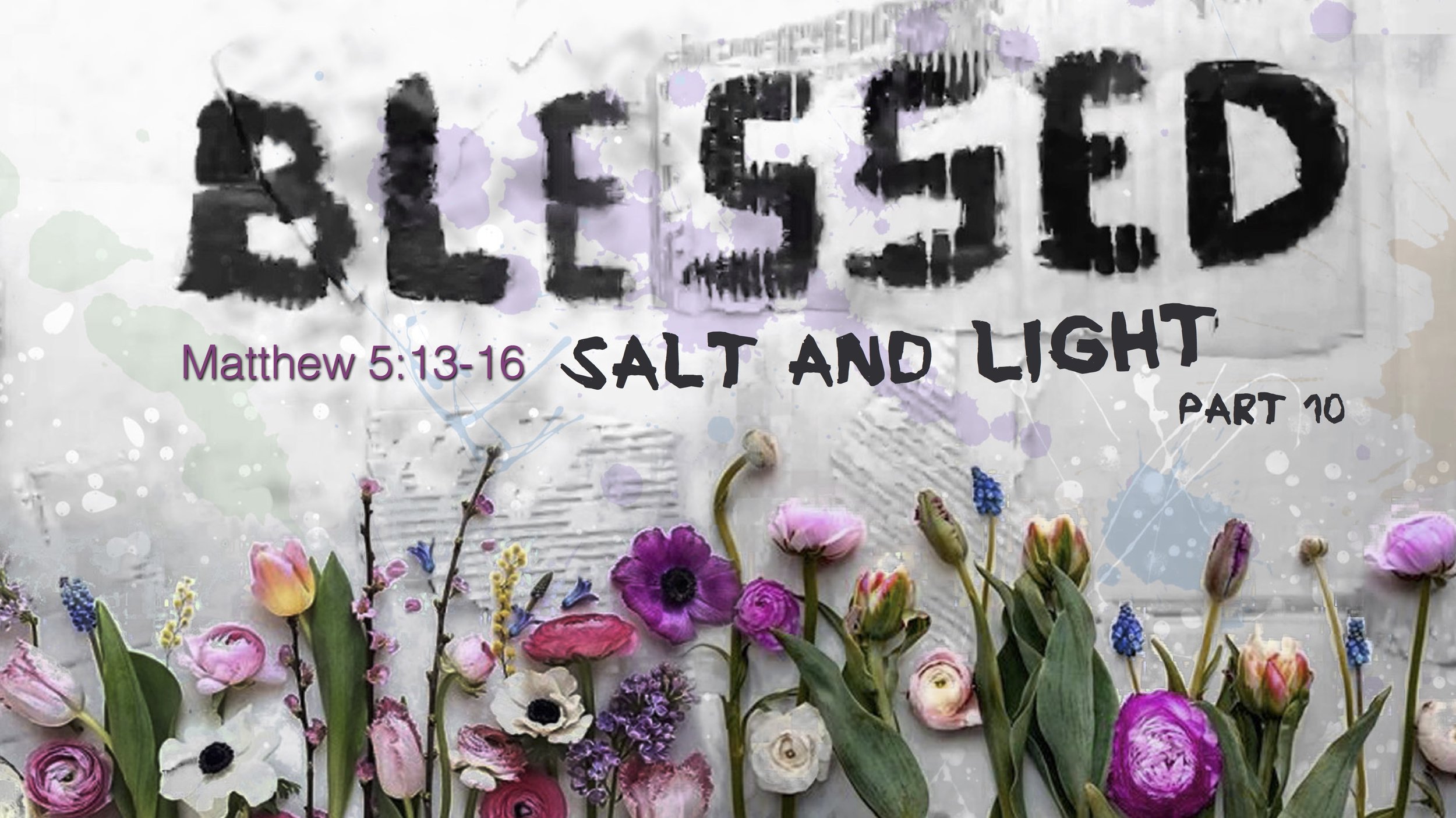 Blessed - Part 10 - Blessed Salt & Light