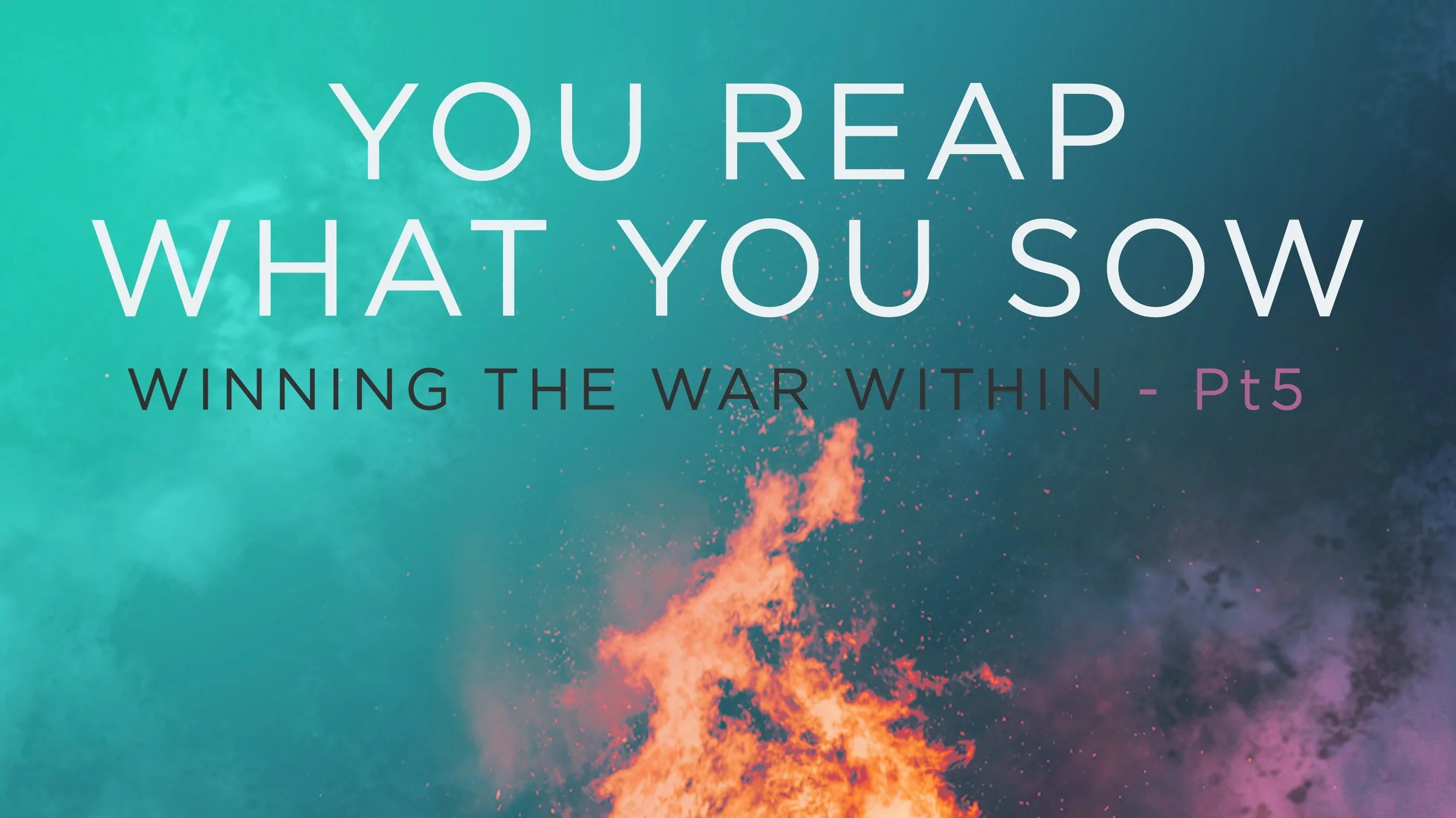 Winning the War Within [Part 5] "You Reap What You Sow"