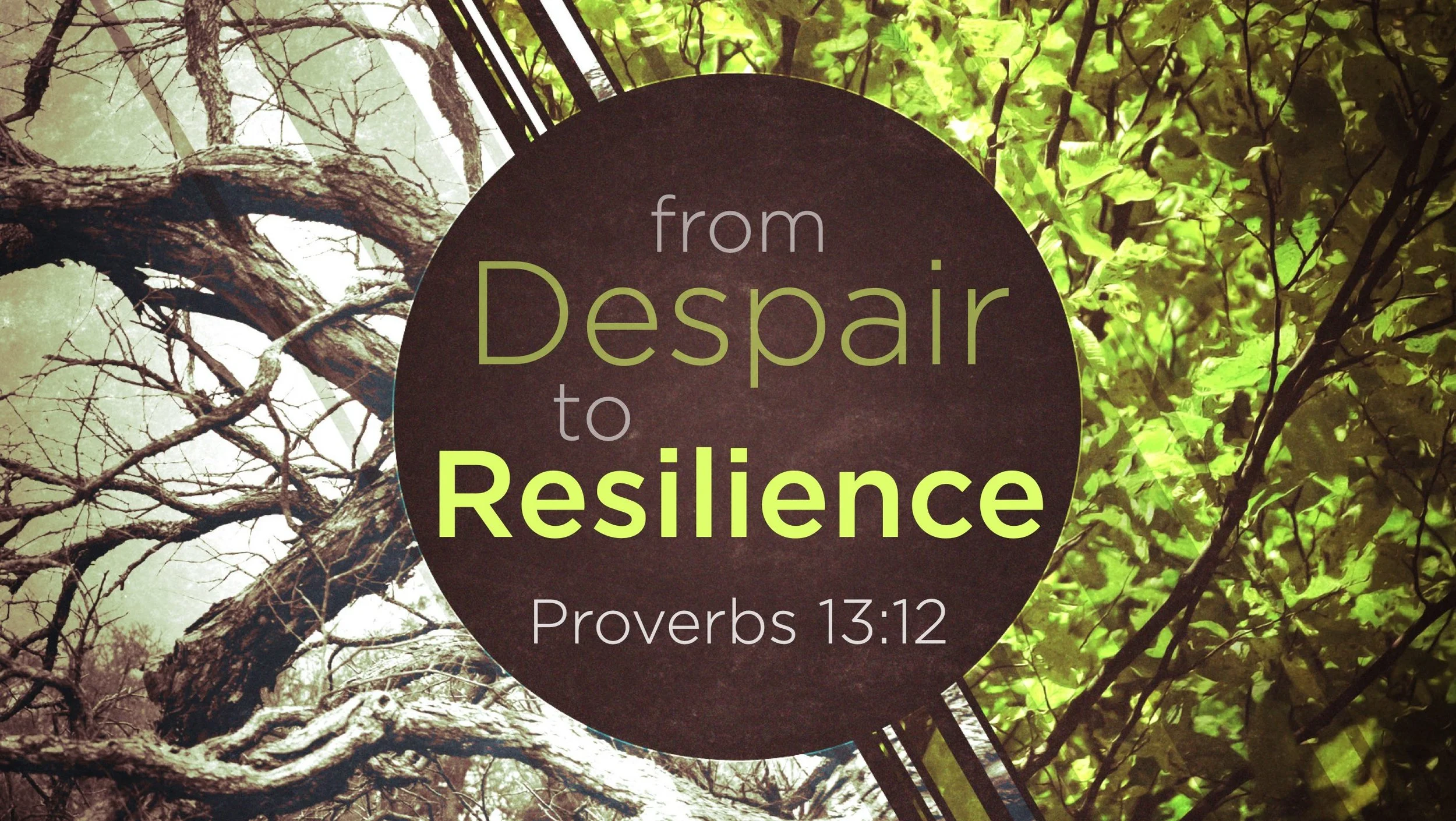 "From Despair to Resilience"