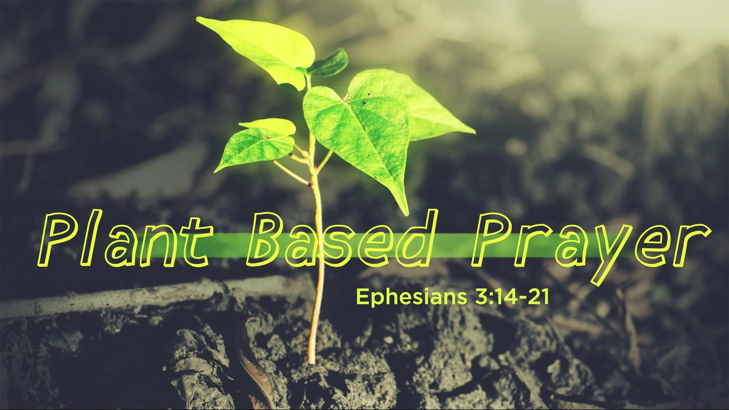 "Plant Based Prayer"