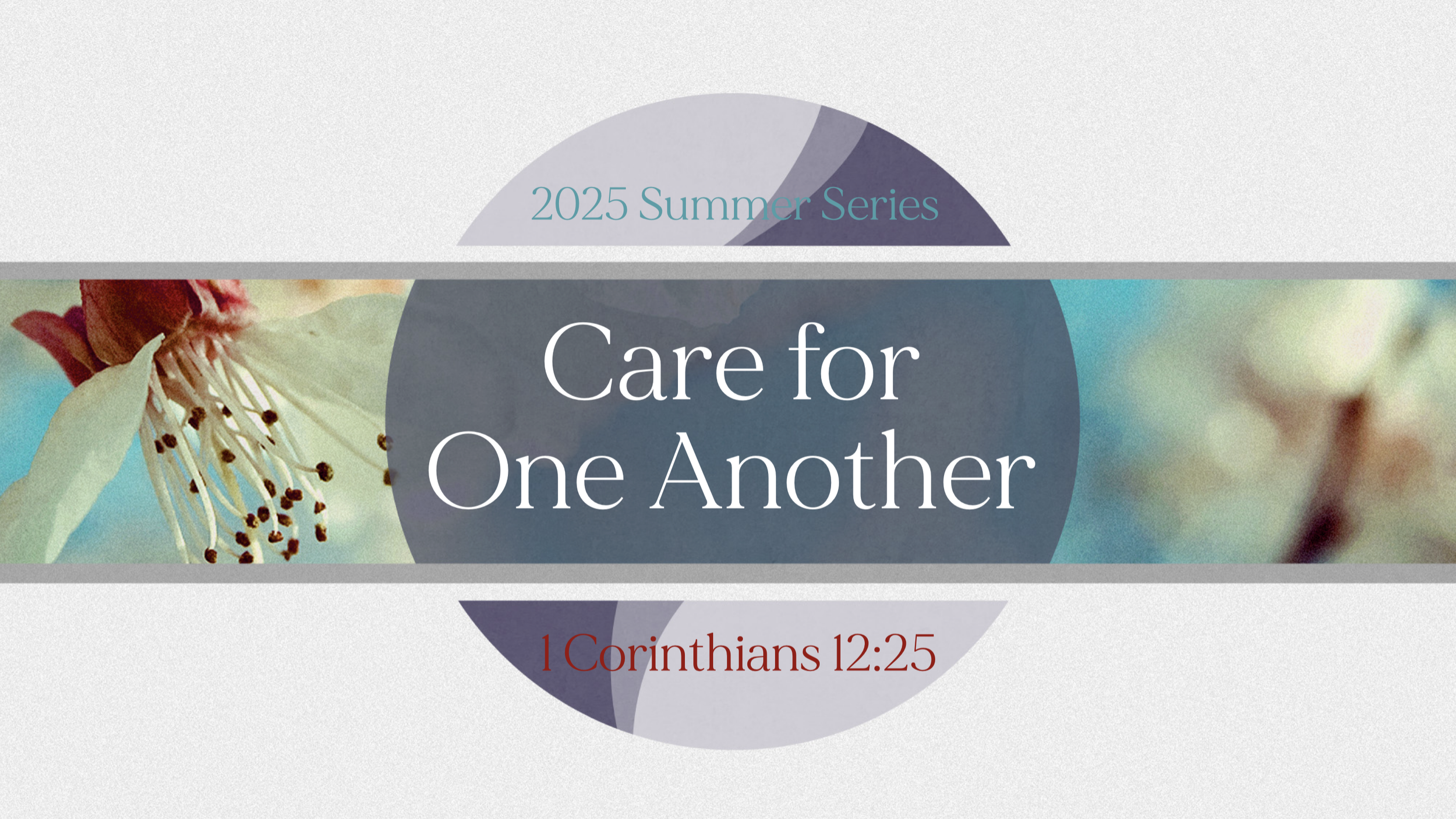 Living the One Anothers [Part 8]