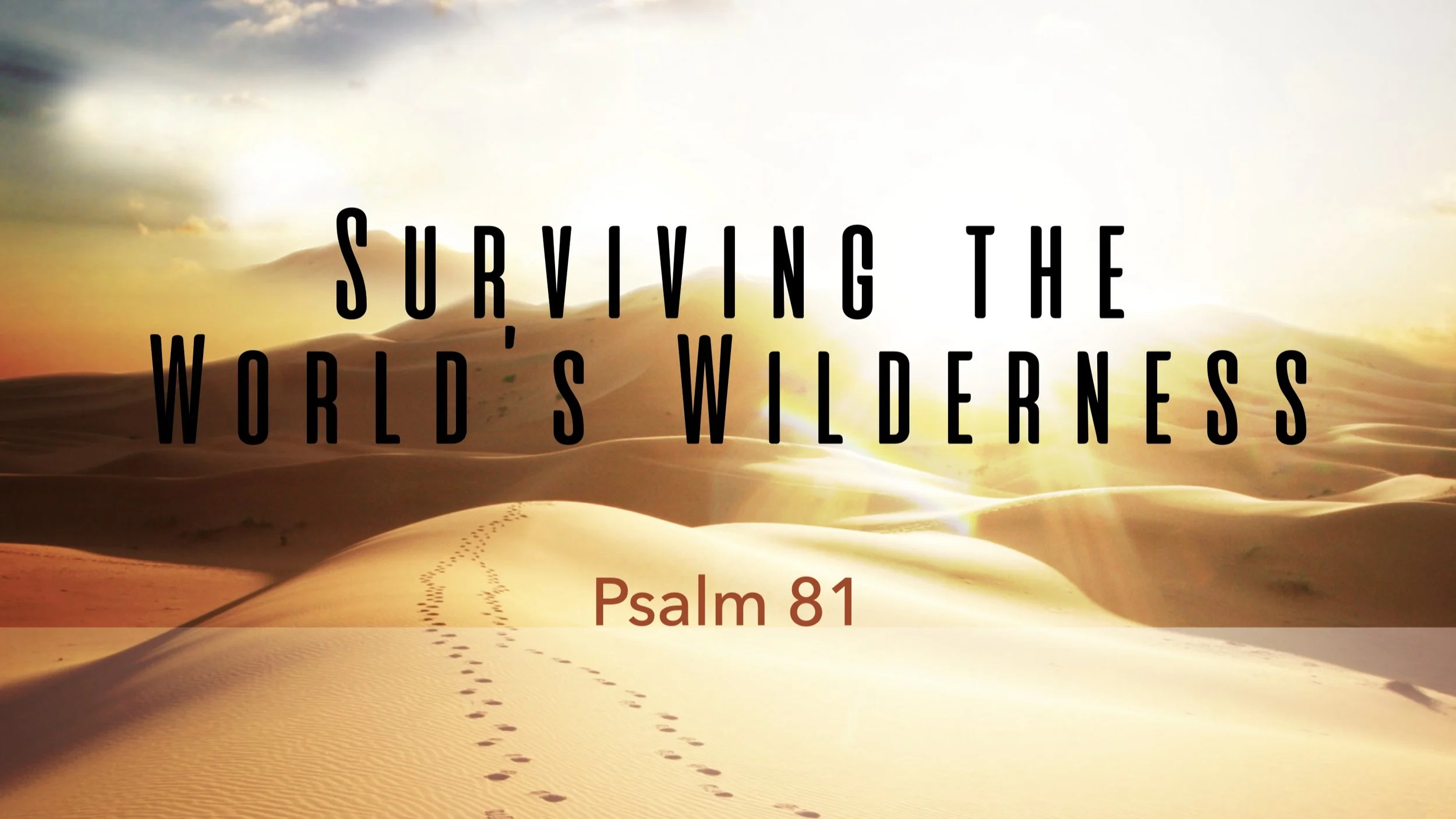 Surviving the World’s Wilderness