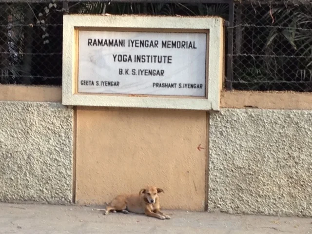 India 2013 313.JPG