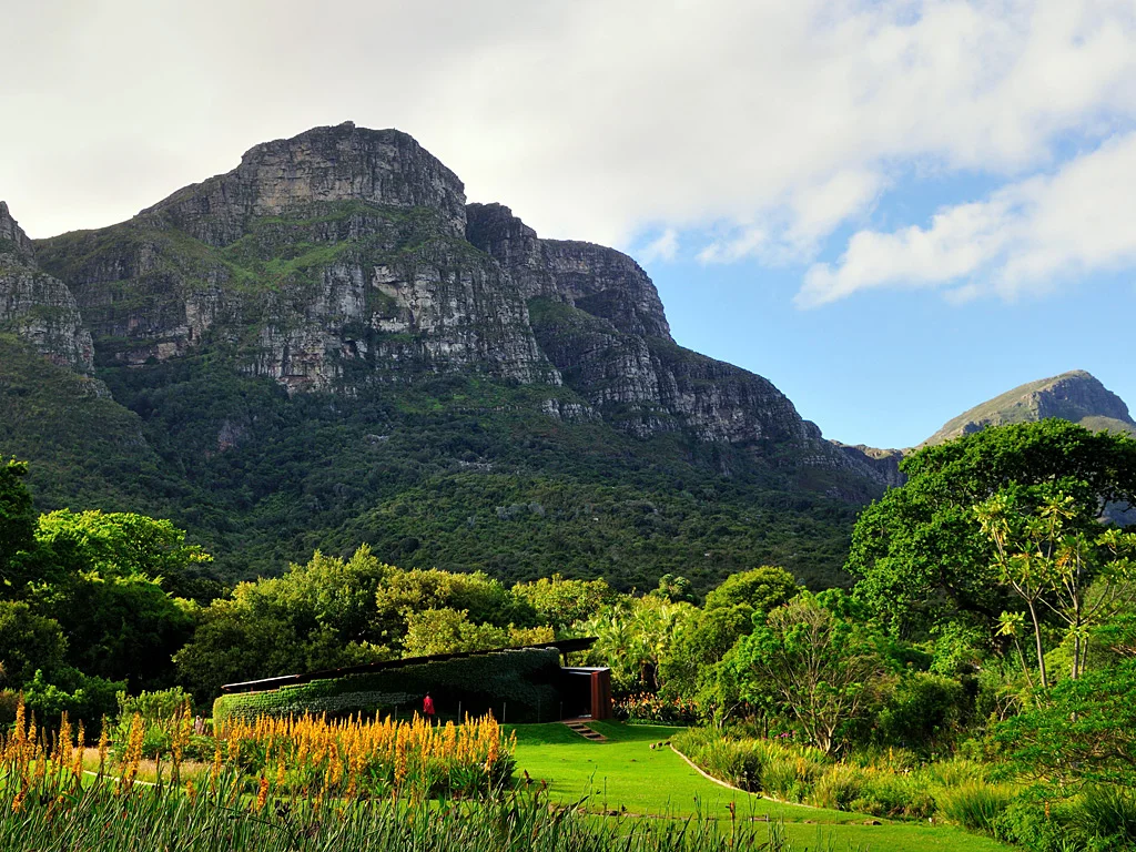Kirstenbosch National Botanical Garden. Credit: Conde Nast Traveller