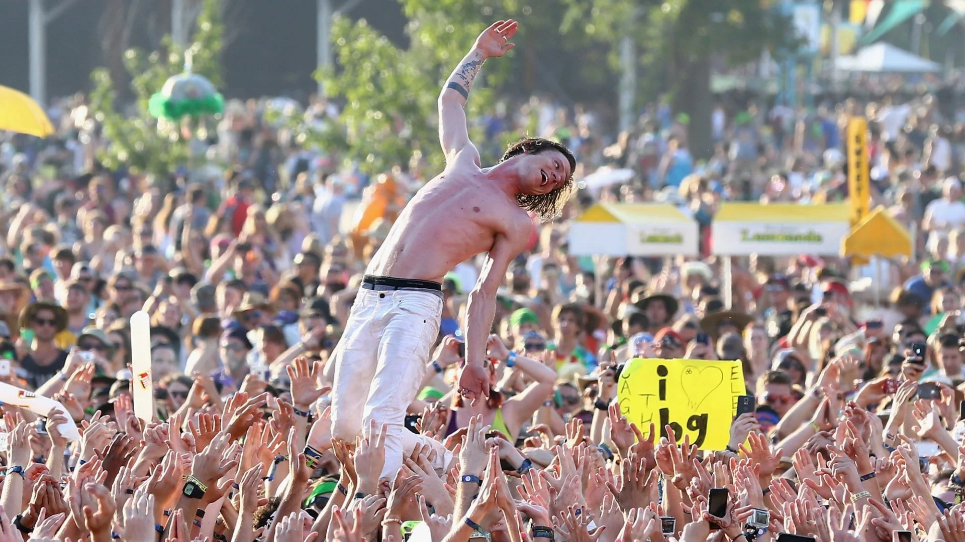 bonaroo1.jpg