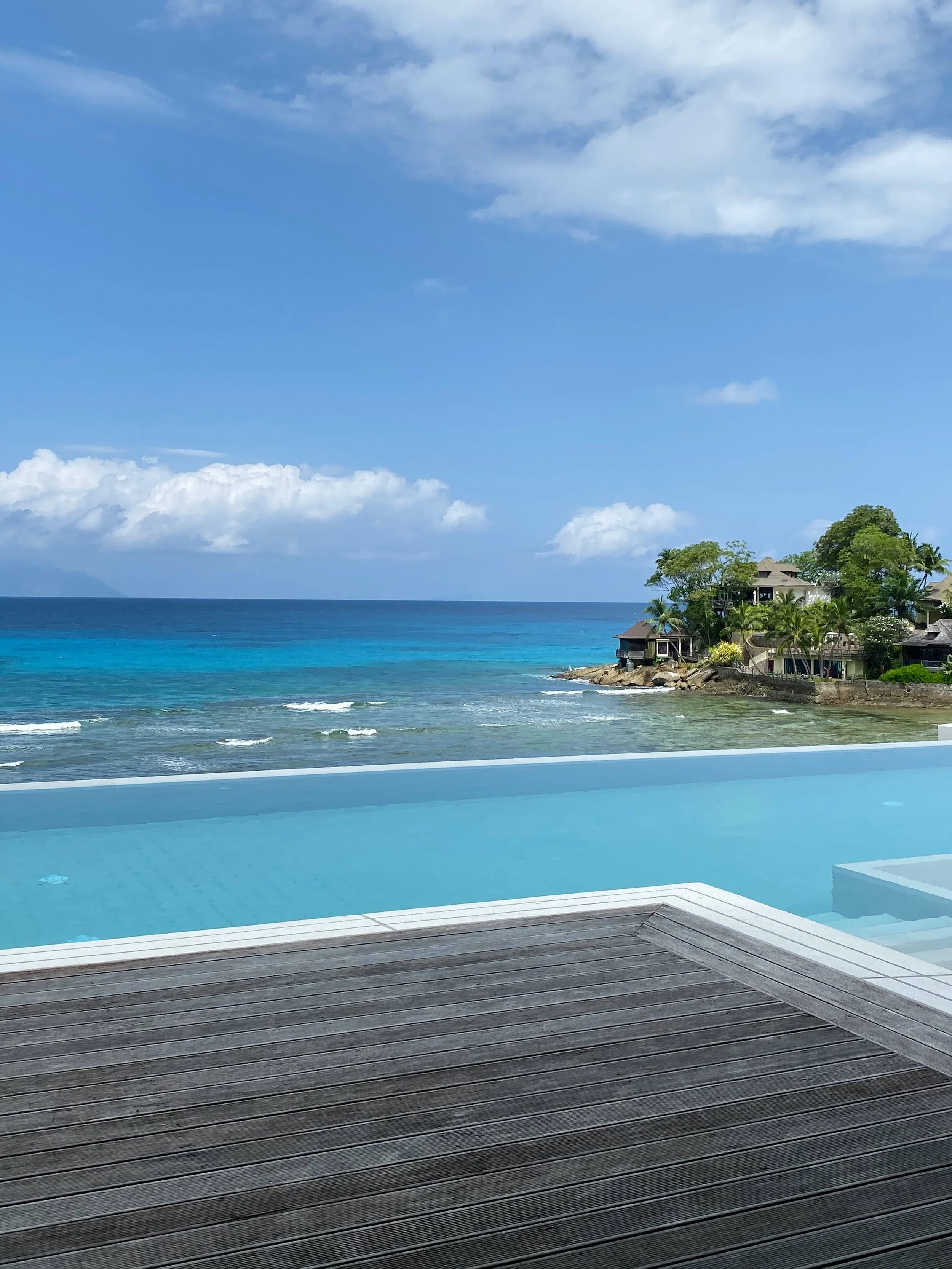 A  Tropical Christmas