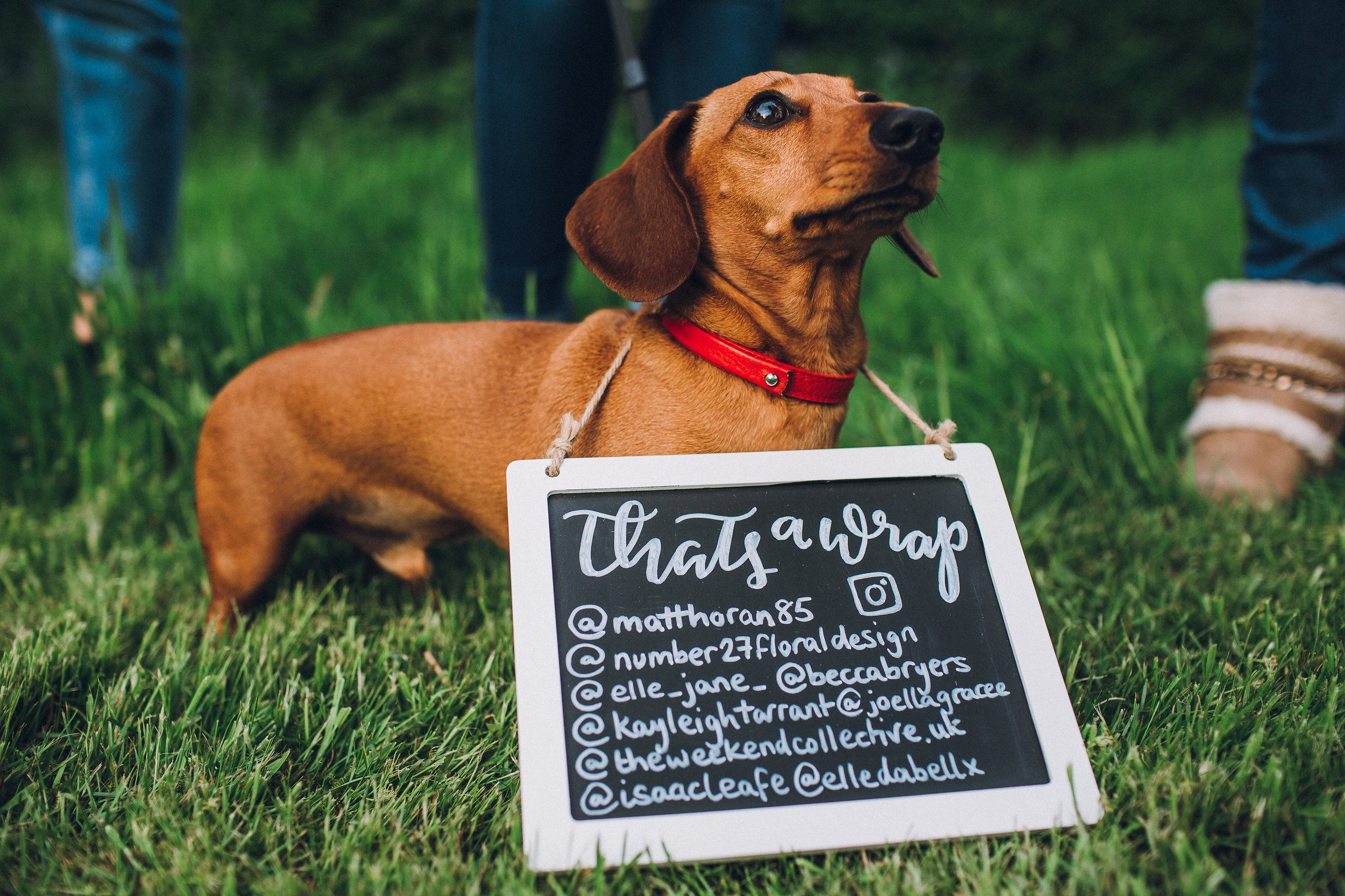 TheWeddingCollective355.jpg