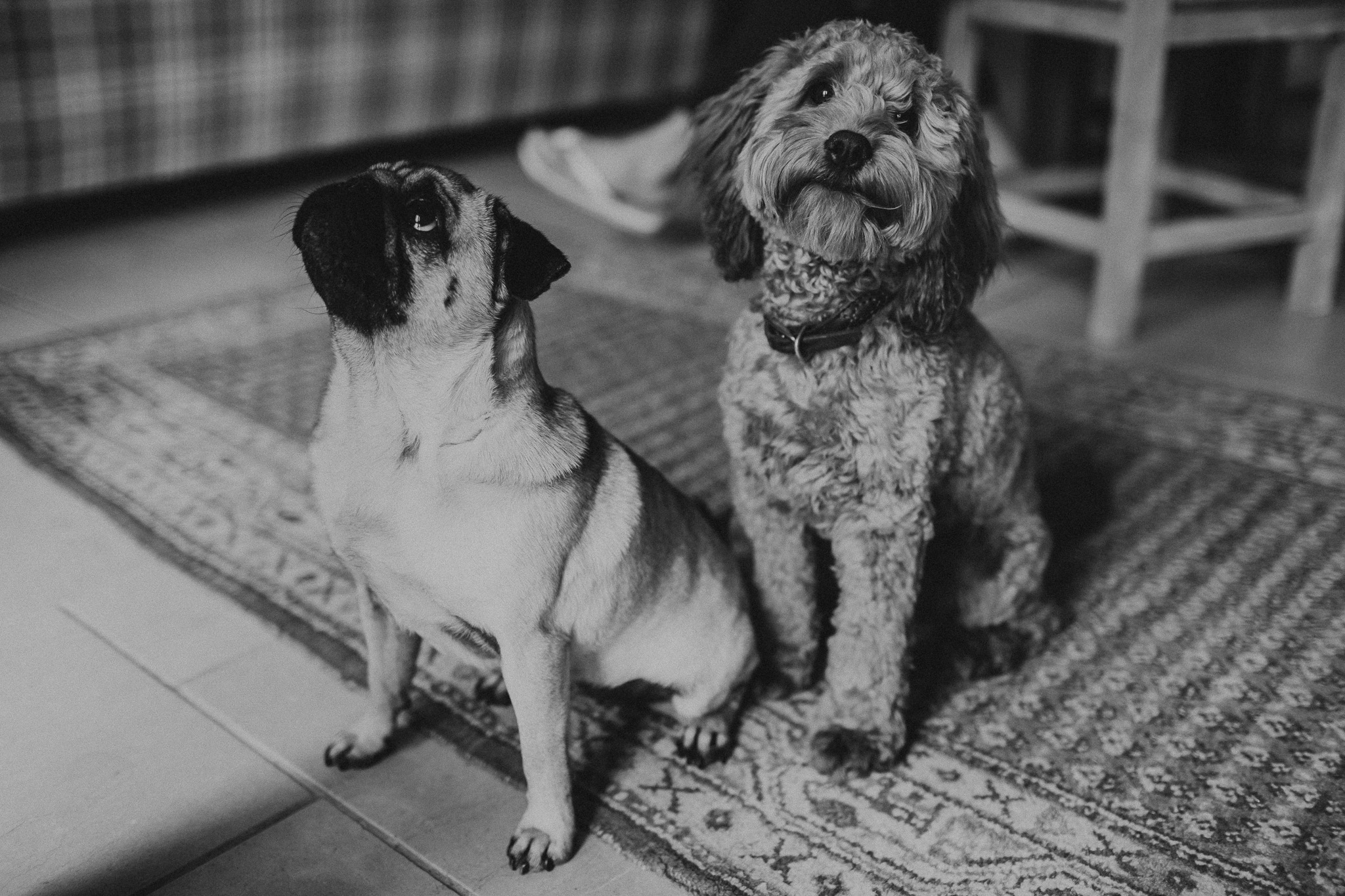 Lucy&Rob006.jpg
