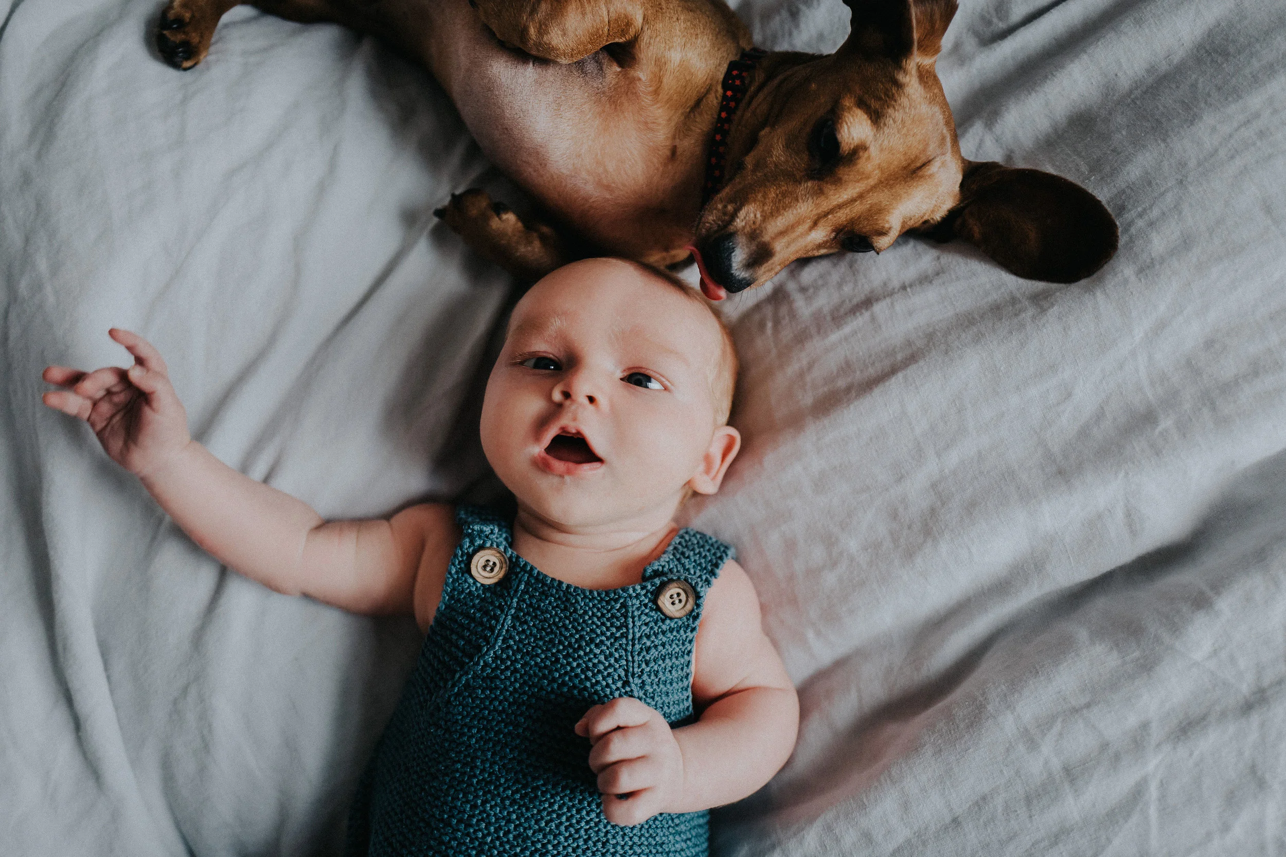 and this is my son Freddie and dog Teddy!