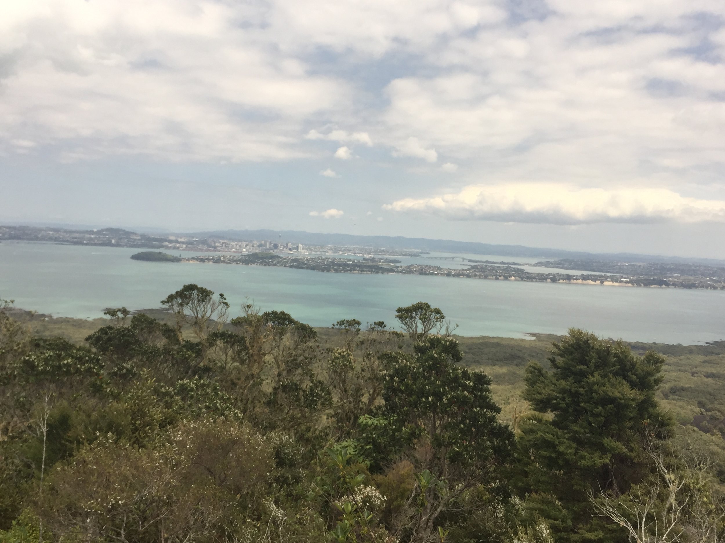 Visiting the volcanic island of Rangitoto, near Auckland, New Zealand