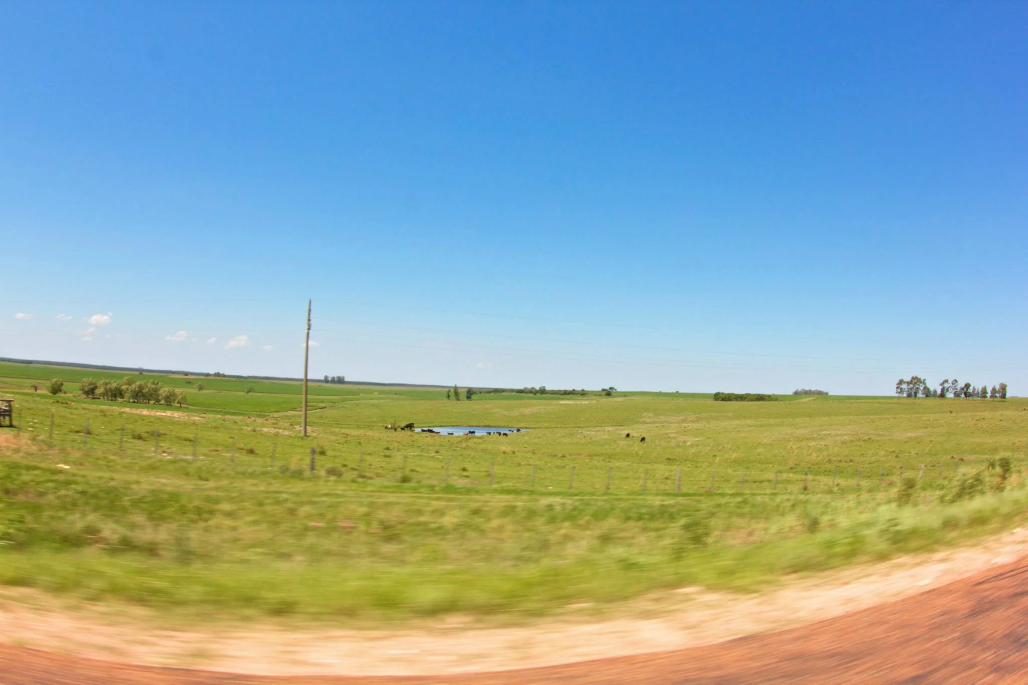 737182_743767615645412_6786903436925822997_o.jpg