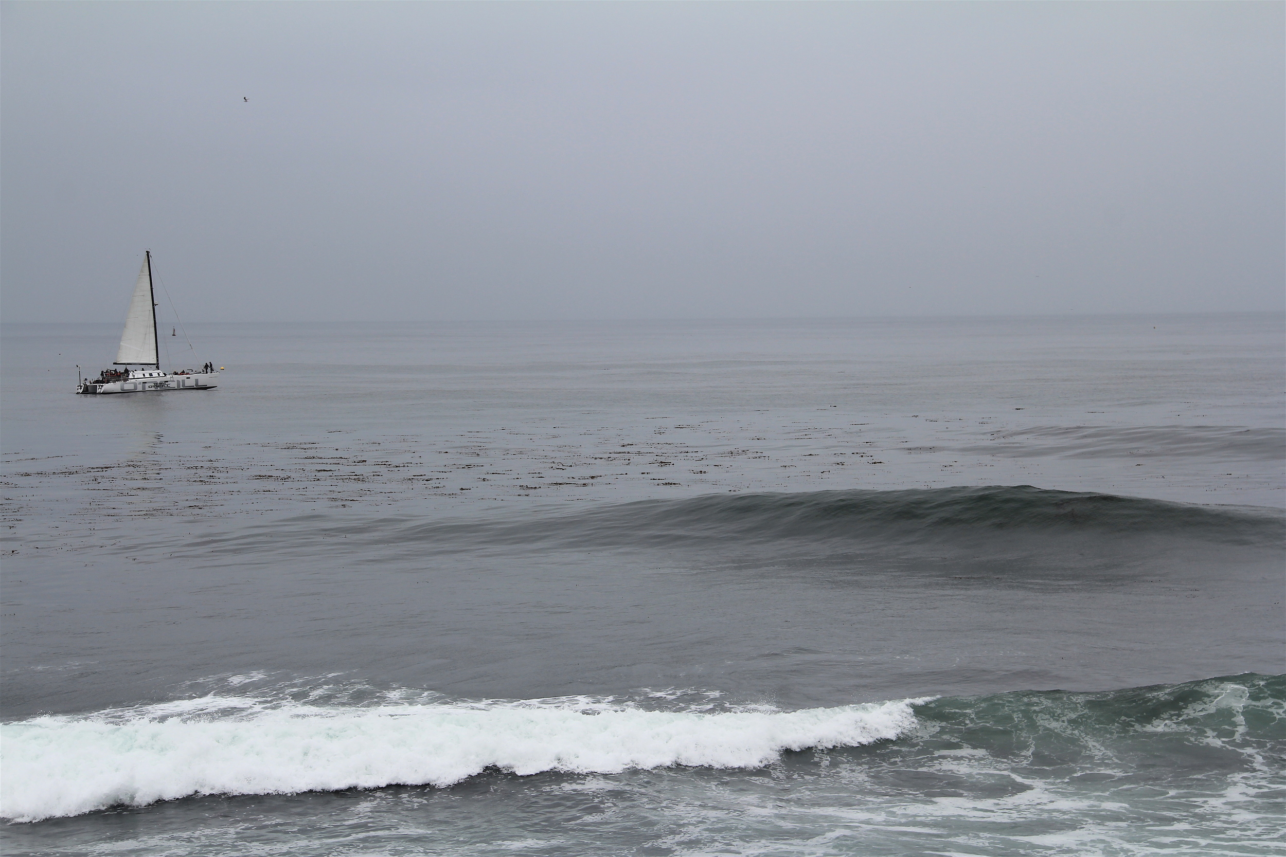 Steamer Lane, Santa Cruz