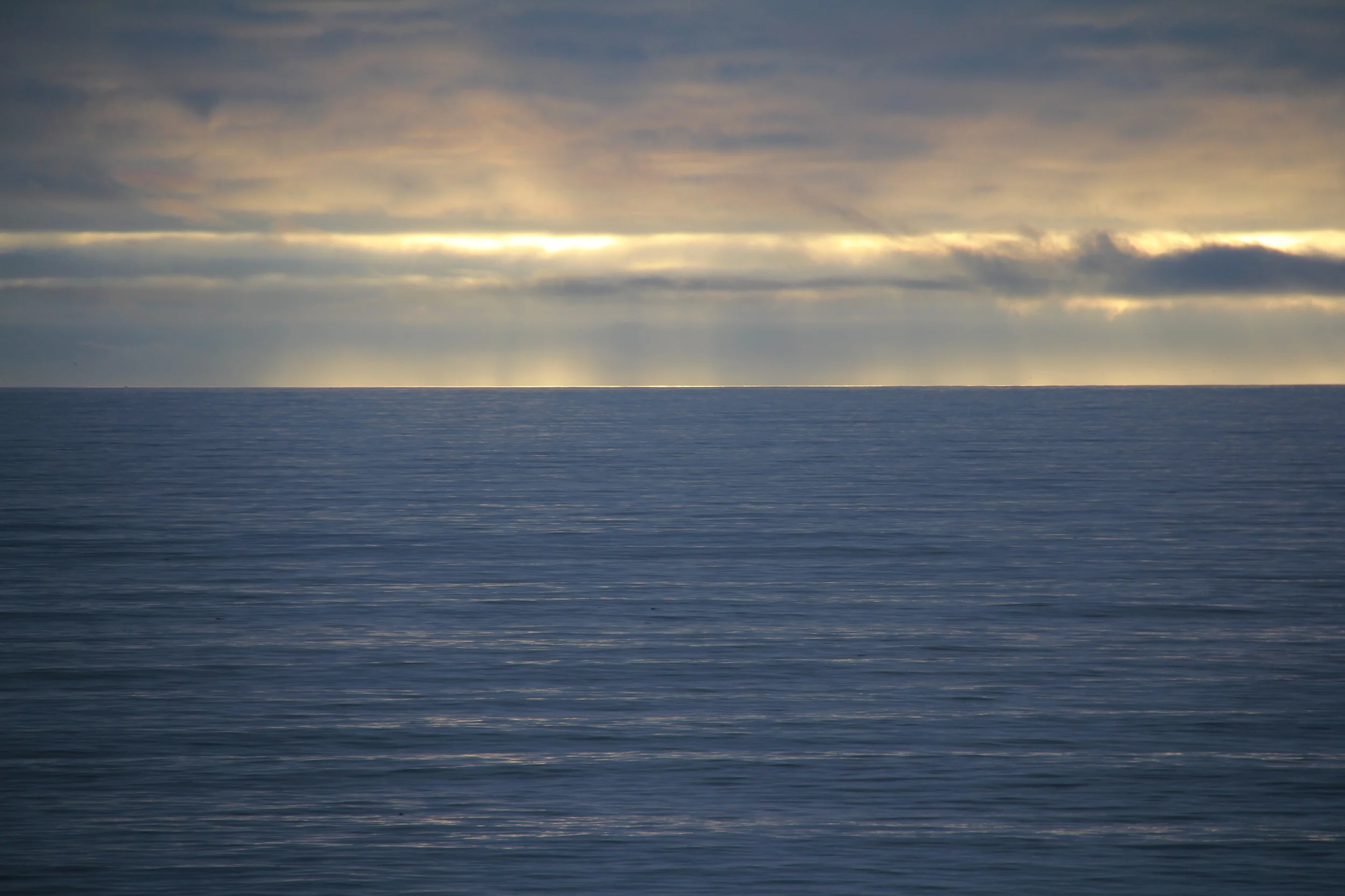 Poplar Beach California