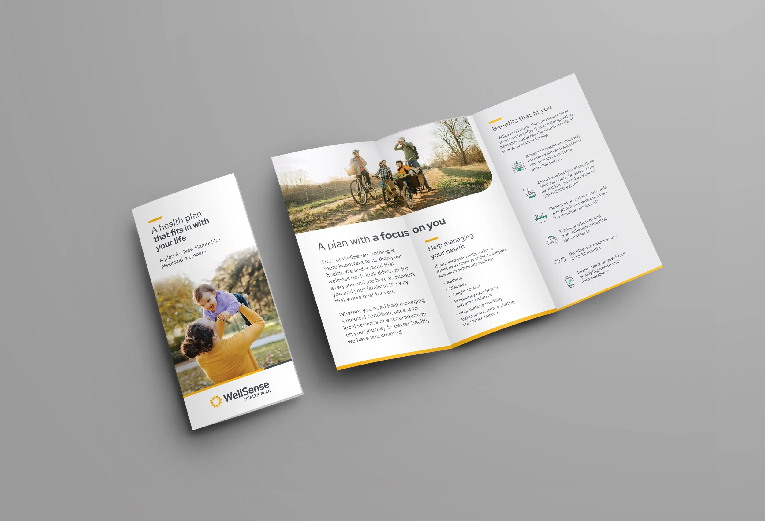 TriFold brochure mockupOpen and Folded Booklet.jpg