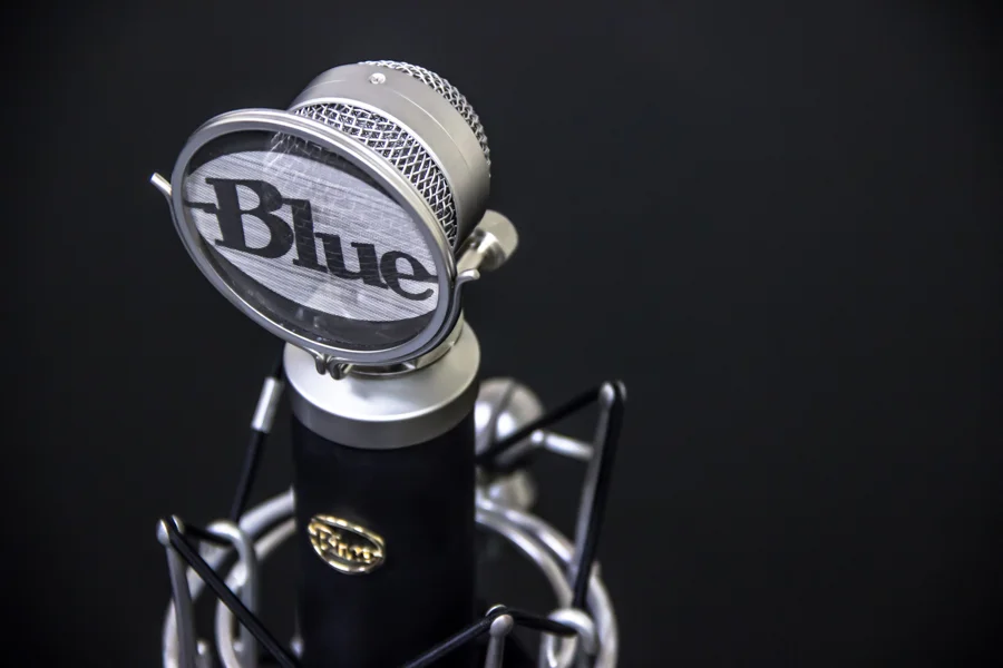 mic2.jpg
