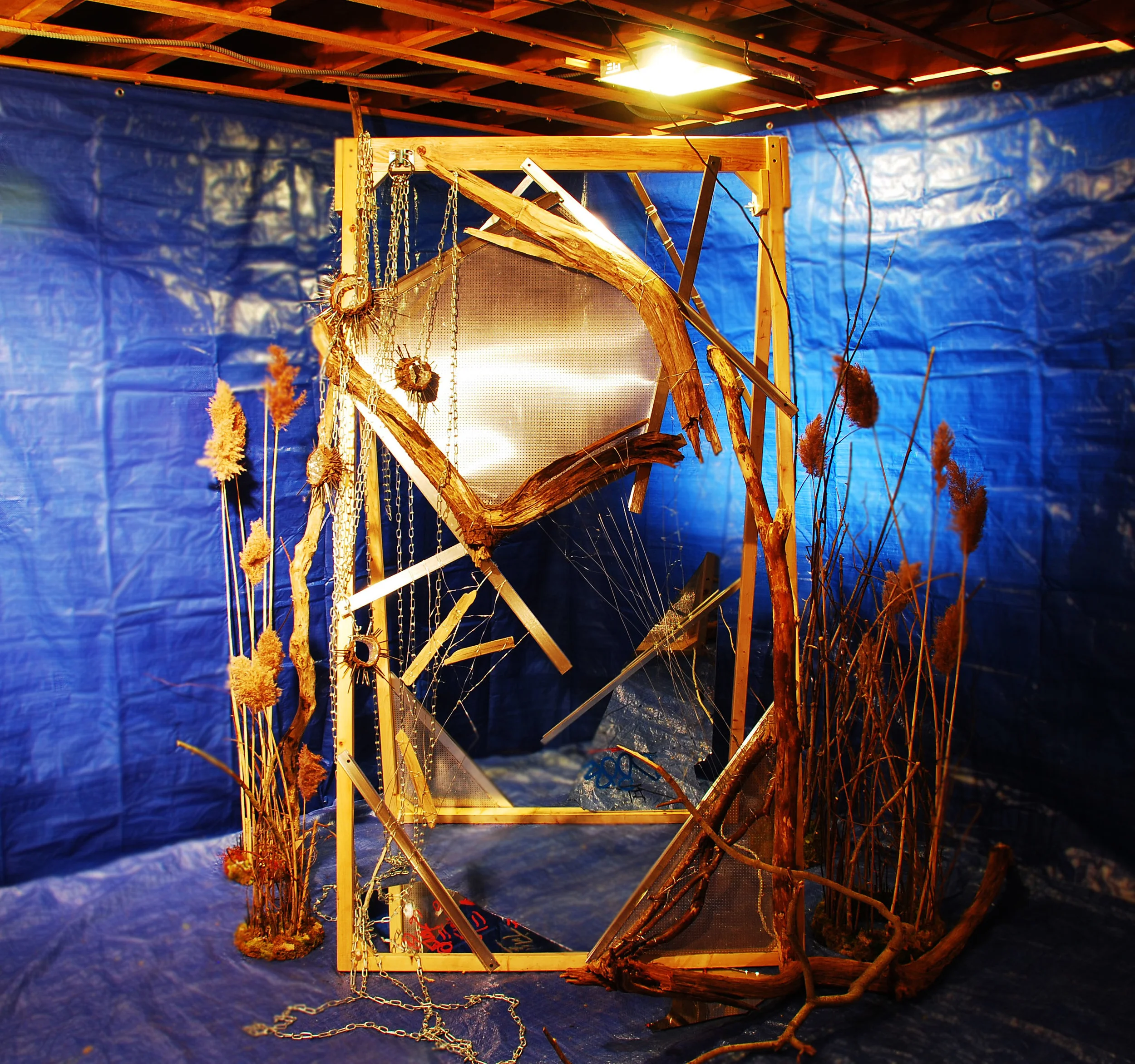 1. Girl Cage full view.jpg