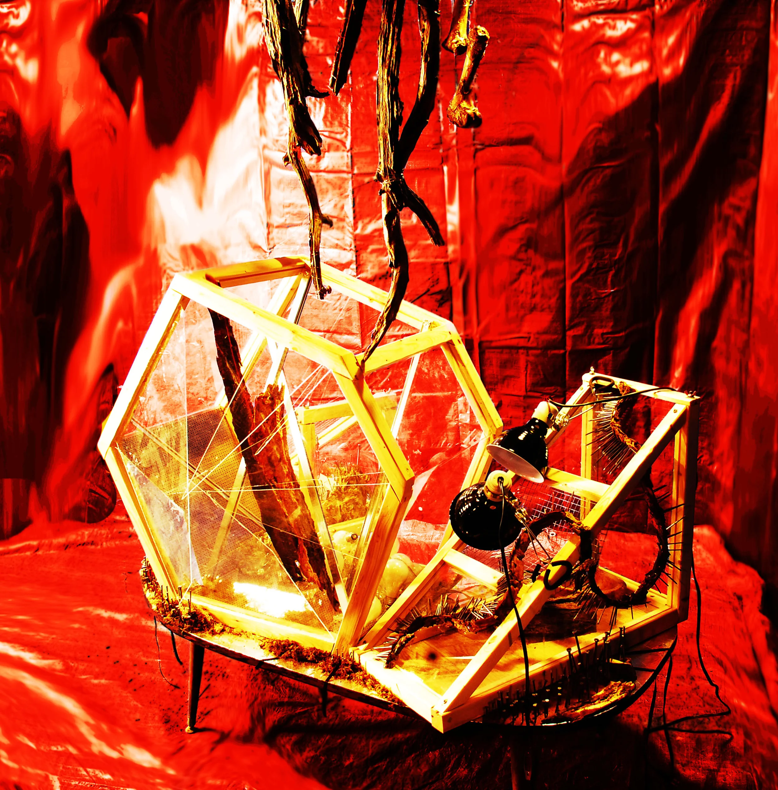 3. Cage Table side.jpg