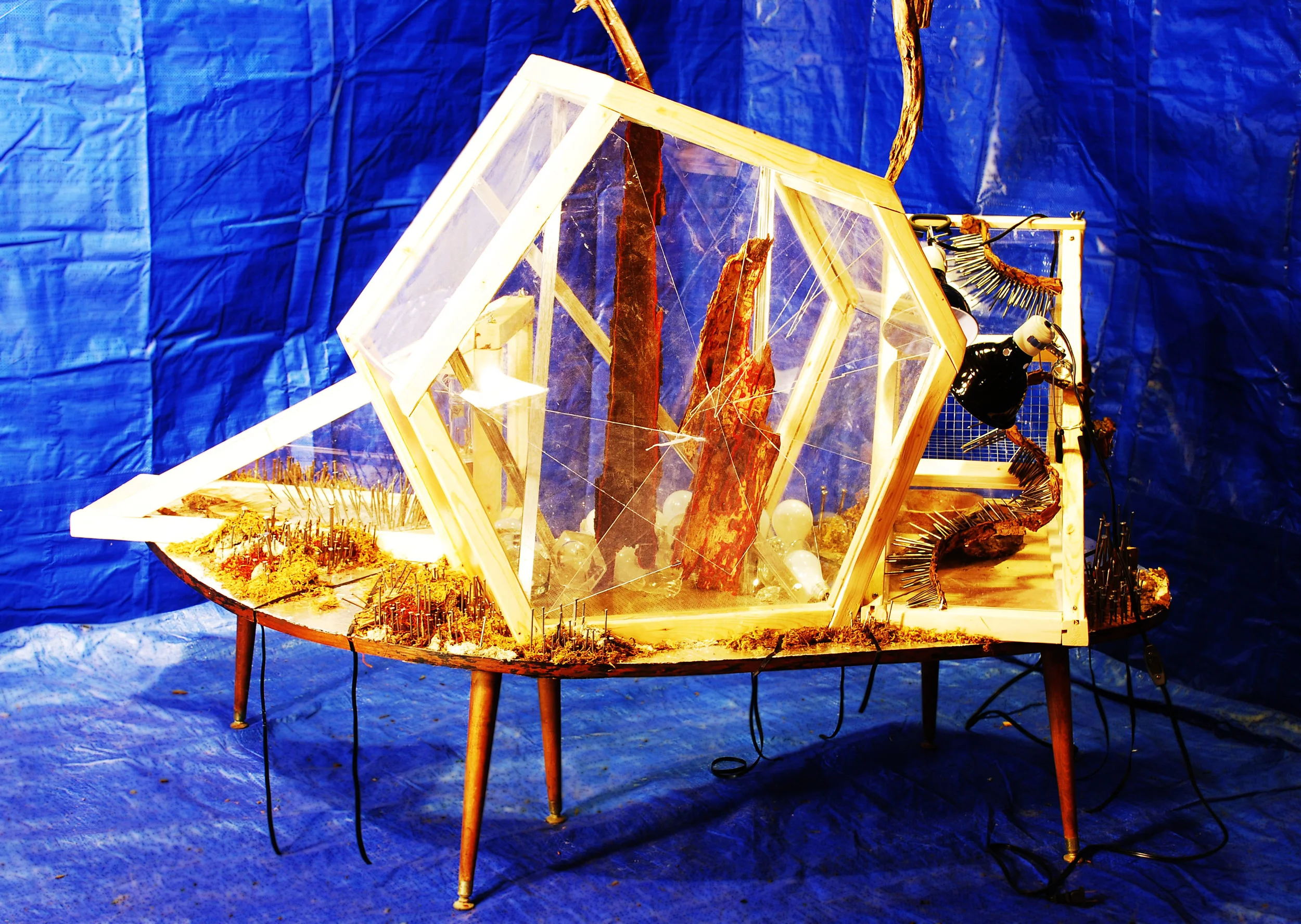 2. Cage Table all.jpg