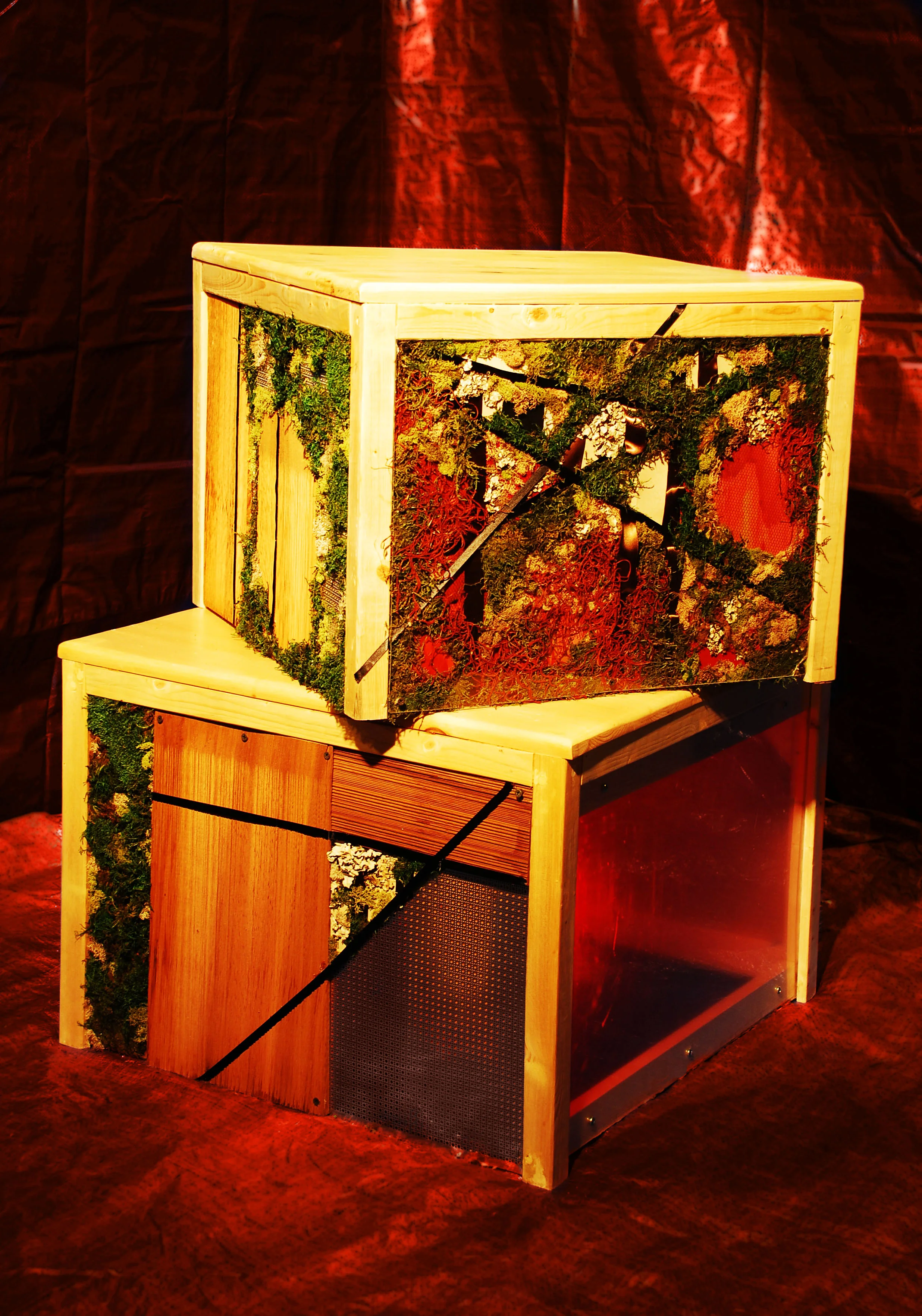 1. Dancers' Boxes view a.jpg