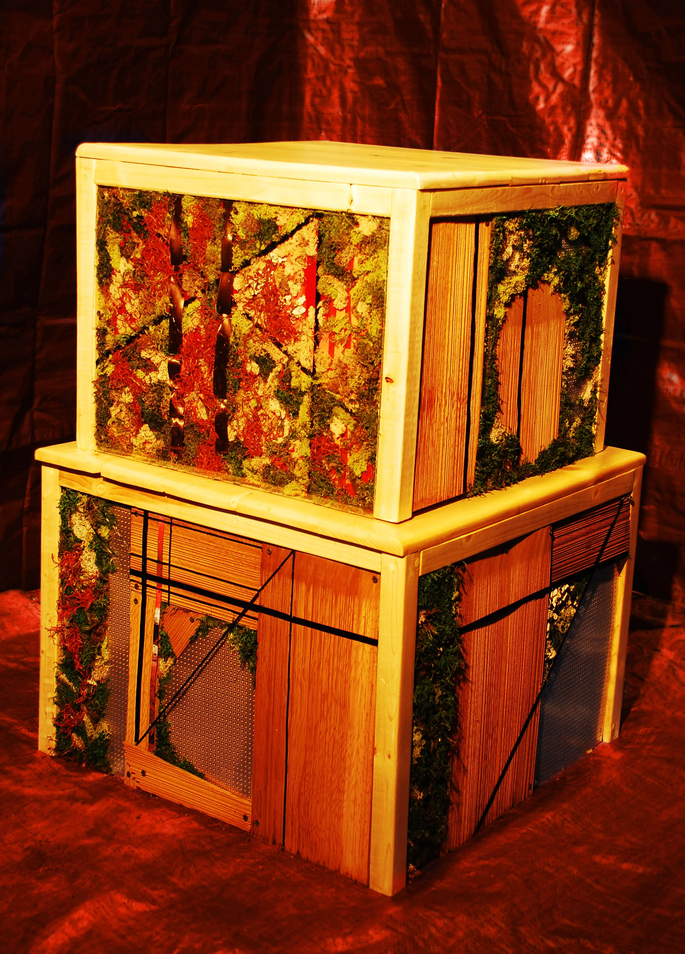2. Dancers' Boxes view b.jpg