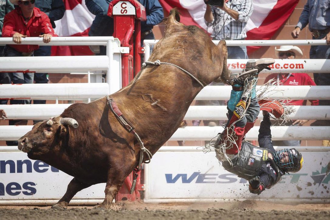 Blog July Market Rodeo 2.jpg