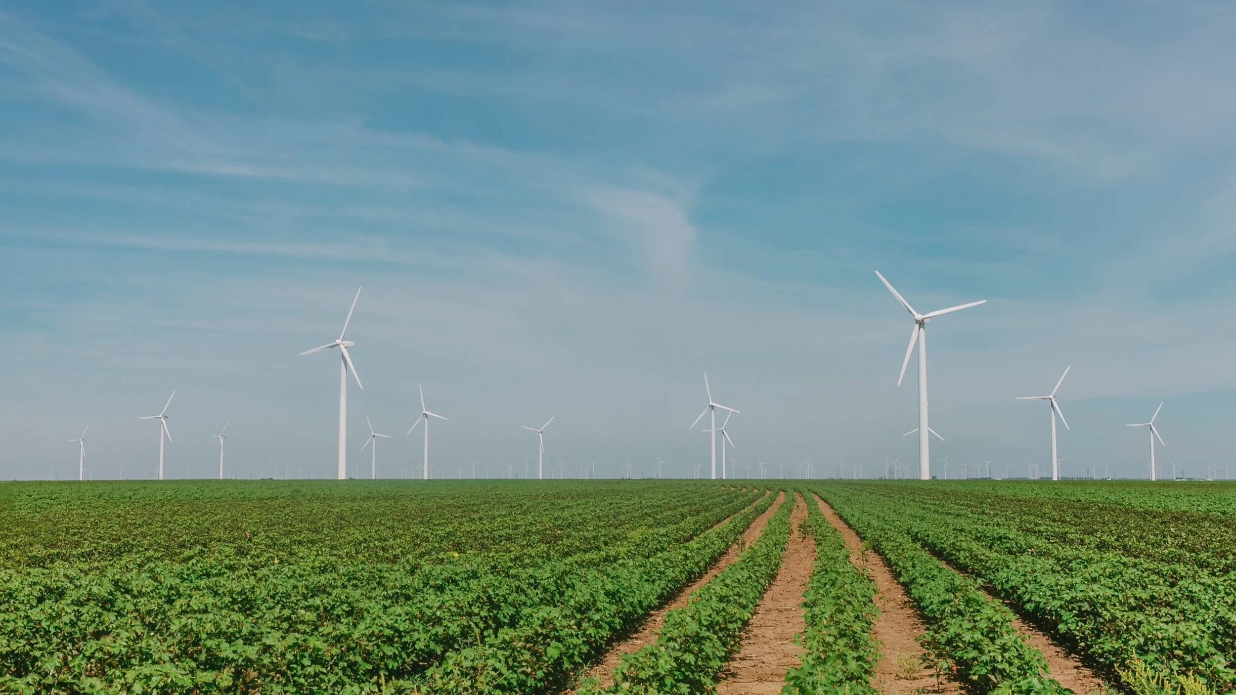 Auspice+ESG+Hedge+Fund+CTA.jpg