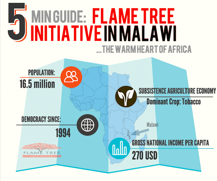 A 5 Minute Guide to the Flame Tree Initiative
