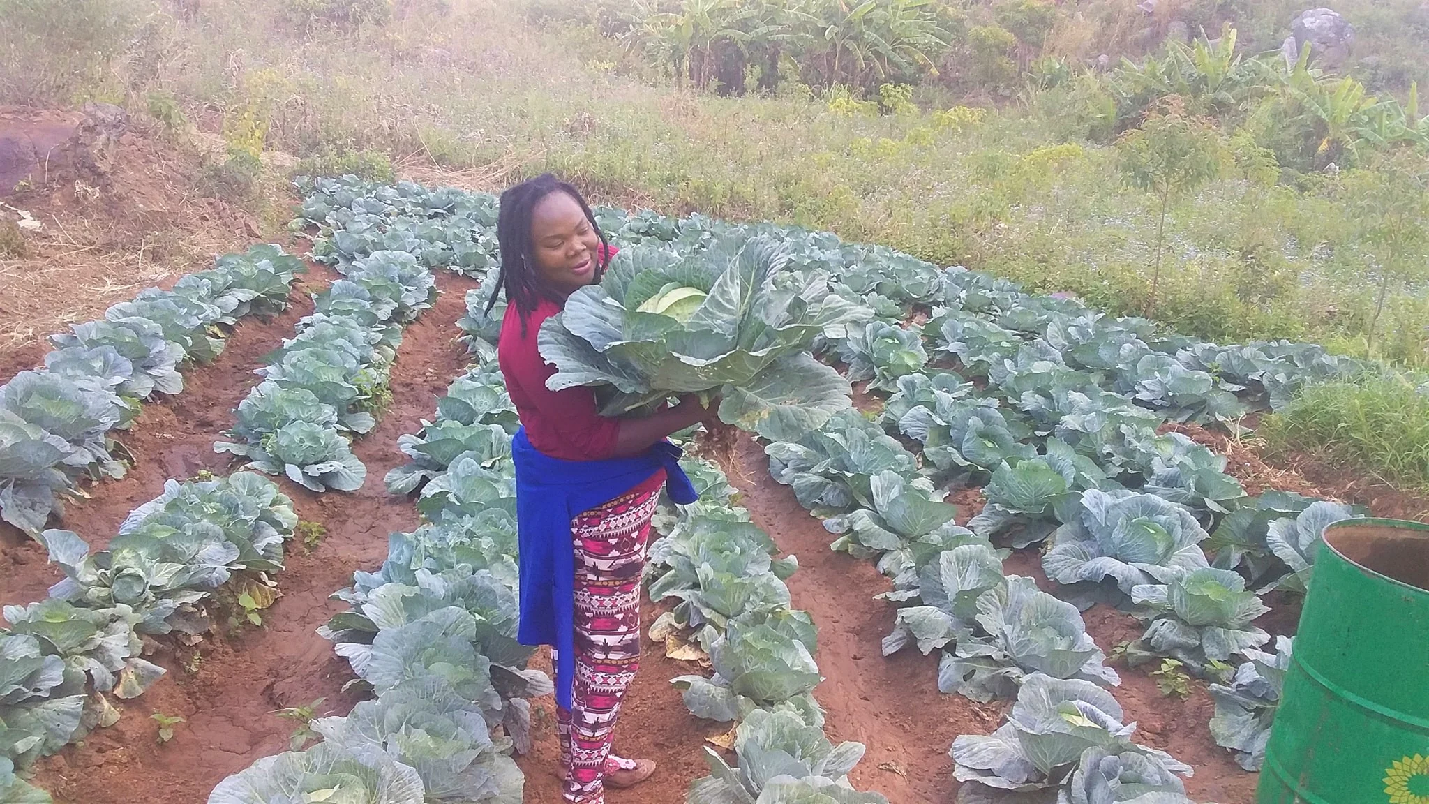 Thokozani Chimasula, Tac-Maz Investments