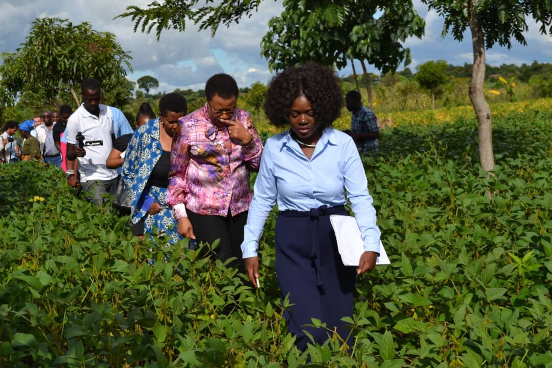  Lilly graduated from the Flame Tree Initiative DELab in March 2019. She is now a DEStudio Member and is working to scale Angelstone, where she supports youth and women smallholder farmers.  