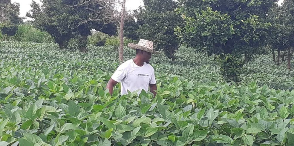 Social Entrepreneur Spotlight: Aubrey Lindeire