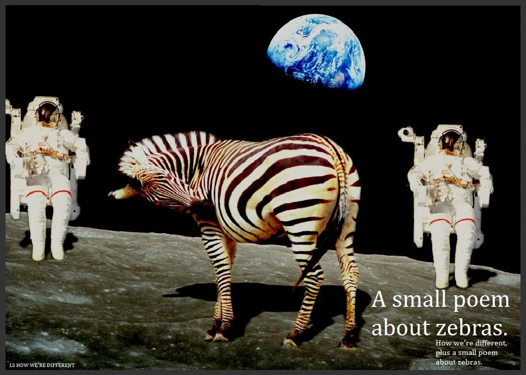 15Asmallpoemaboutzebras.jpg