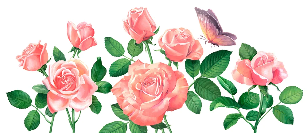 12b J-Evans_Teleflora.jpg
