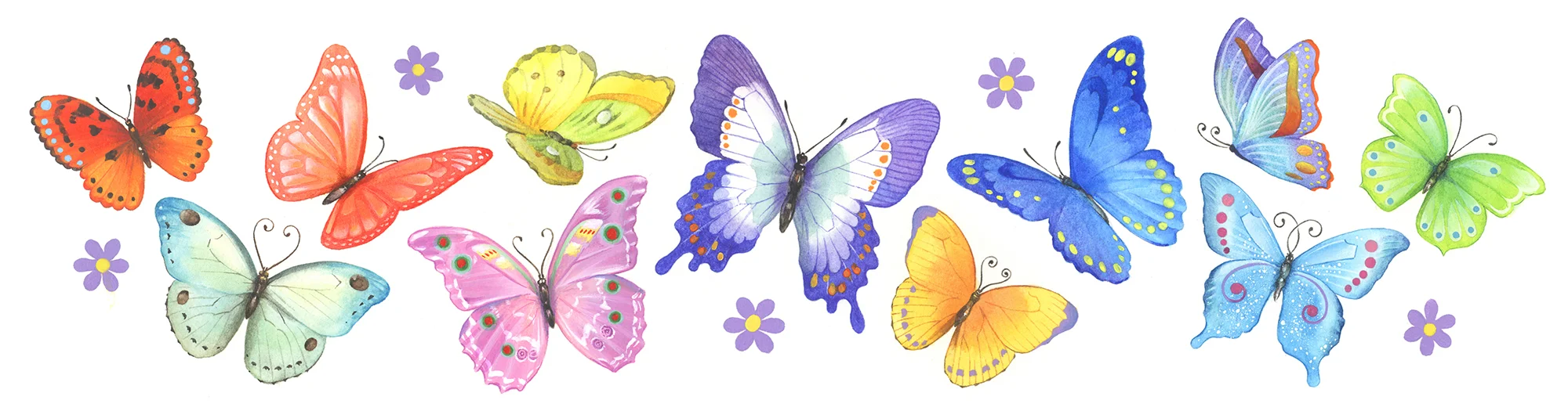 J-Evans_butterfly.jpg