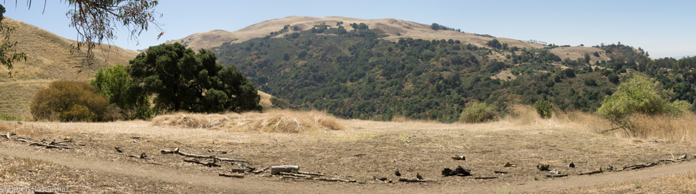In an email to Julie Cline, Stephen Rosenthal wrote, “The big pile of weeds is about 60' square and 5 ft. high.”