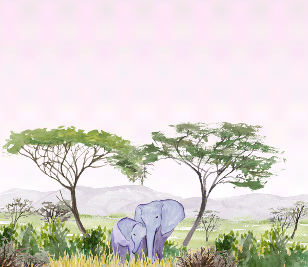 Friends + Family email