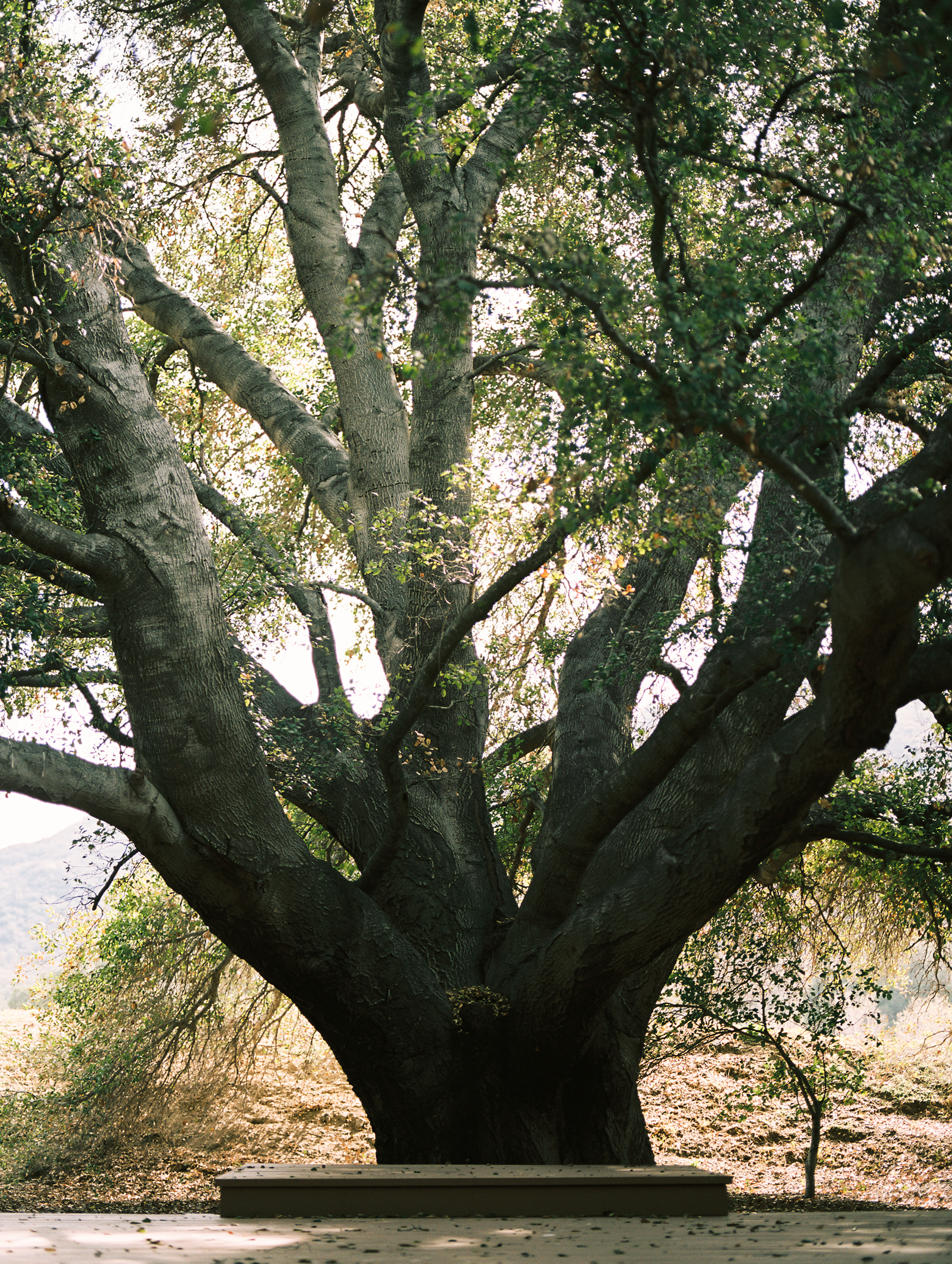 ADmunoa000223-R1-E010.jpg