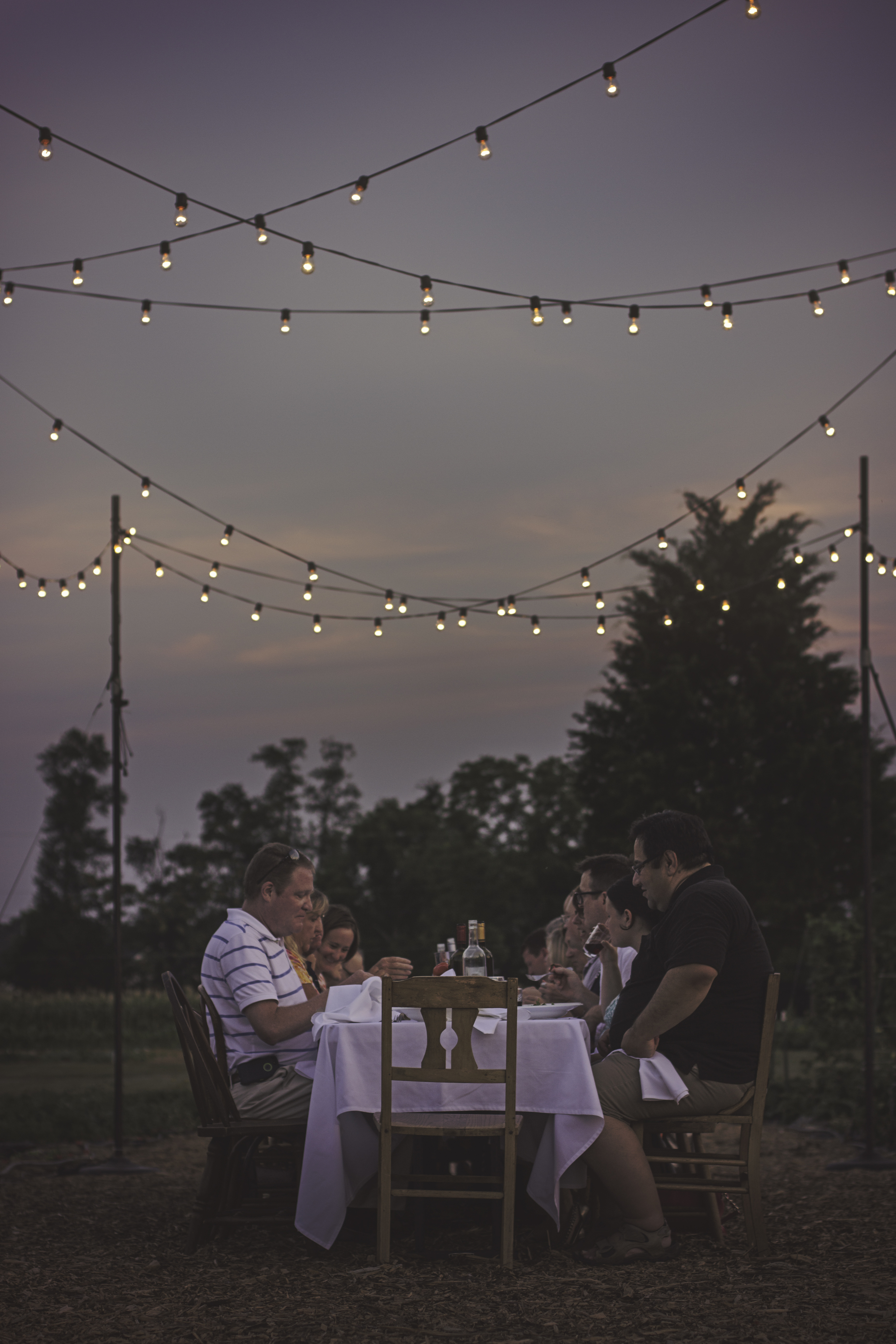 Dining Less Dark.jpg