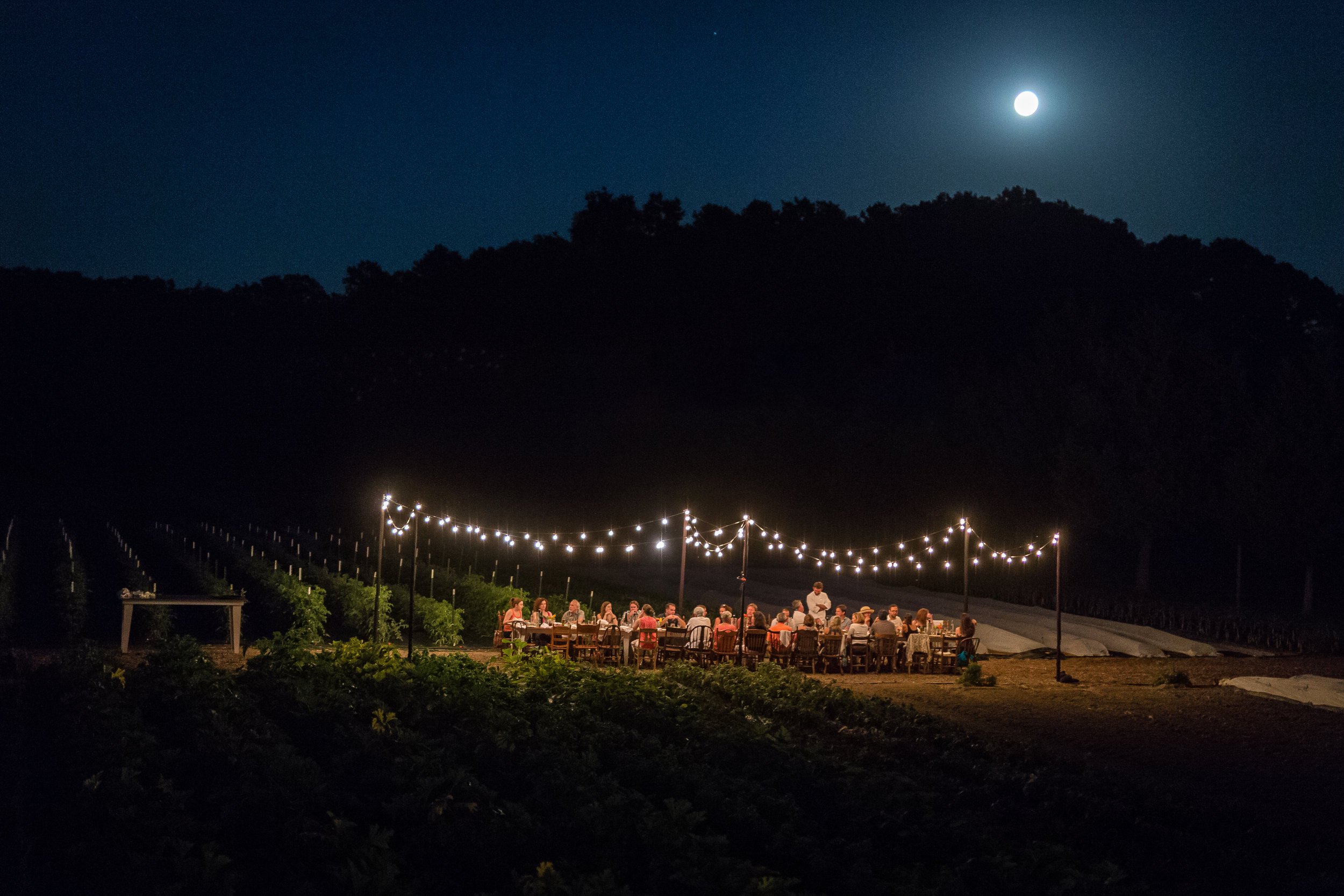 Dinner in the Field 7.31.15-110.jpg