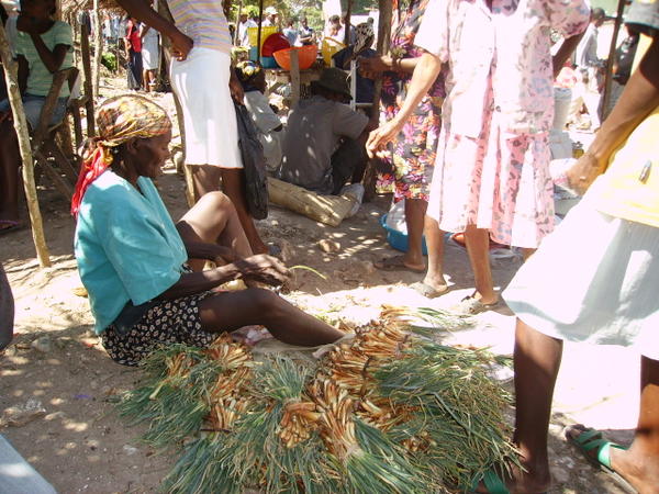 jacmel5.jpg