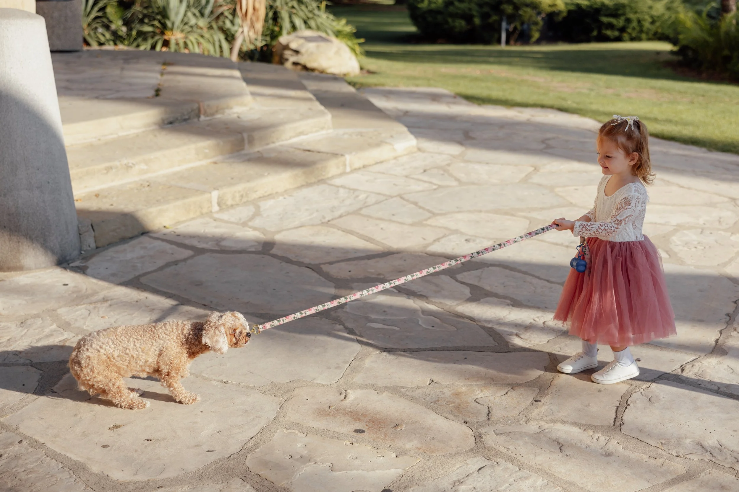 Dogs in Weddings Santa Barbara Courthouse (1 of 1).jpg