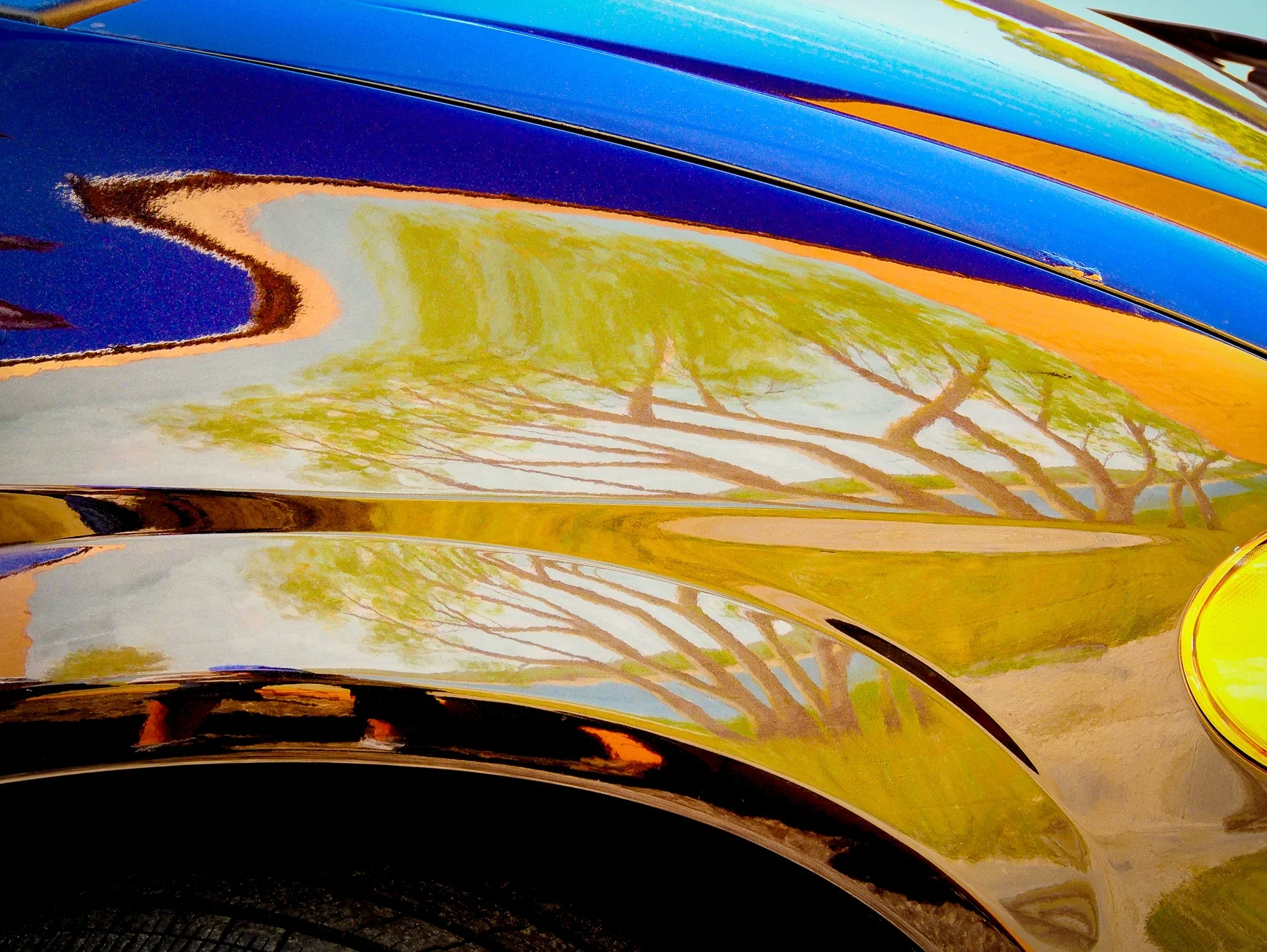 Tree Mural, Blue Car, Englewood, FL
