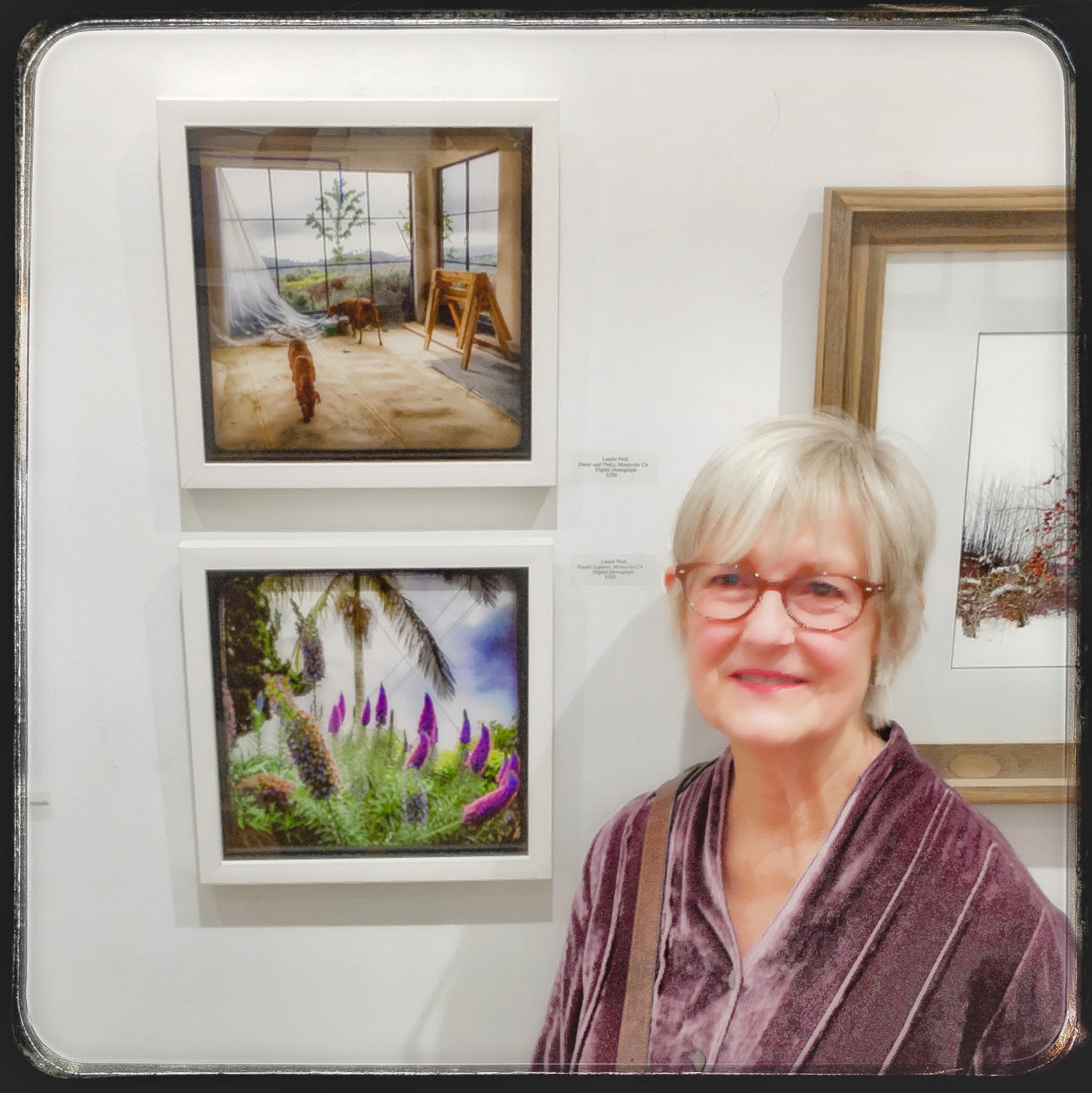 IMG_4805Laurie Peek.jpg