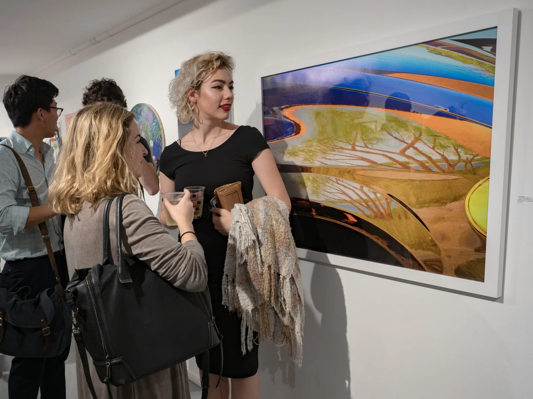 Van der Plas Gallery, NYC, 2017
