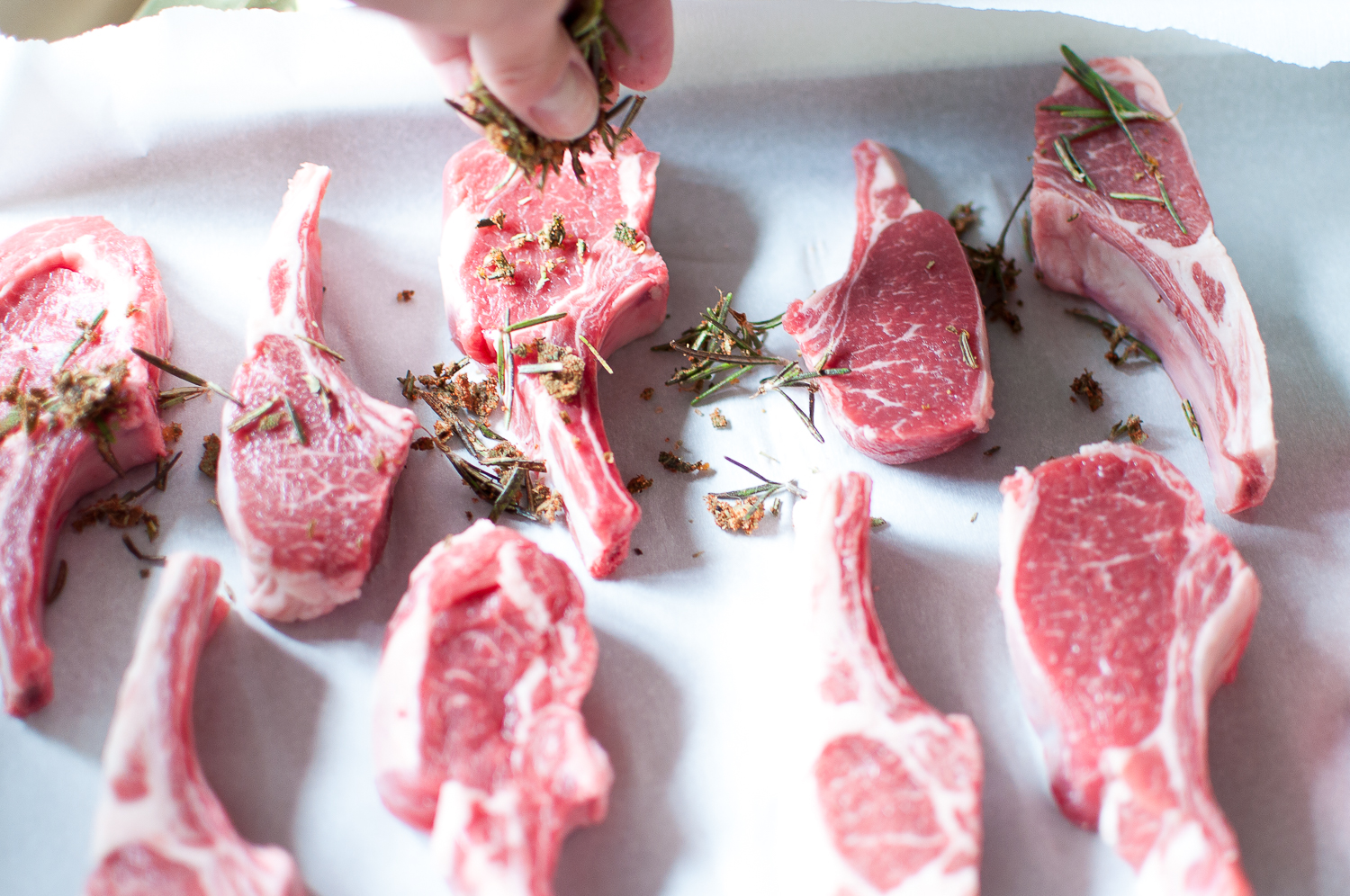 lambchops-10.jpg