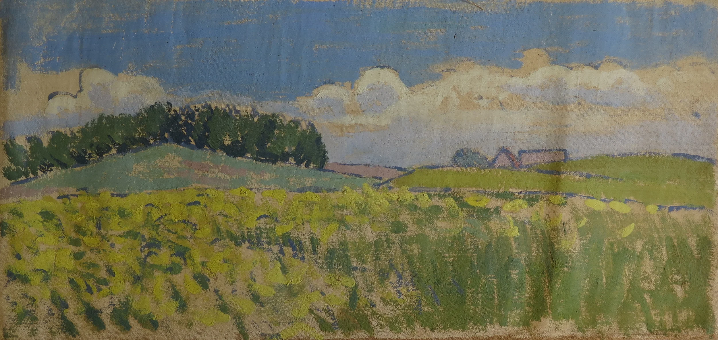 Hundested view over fields