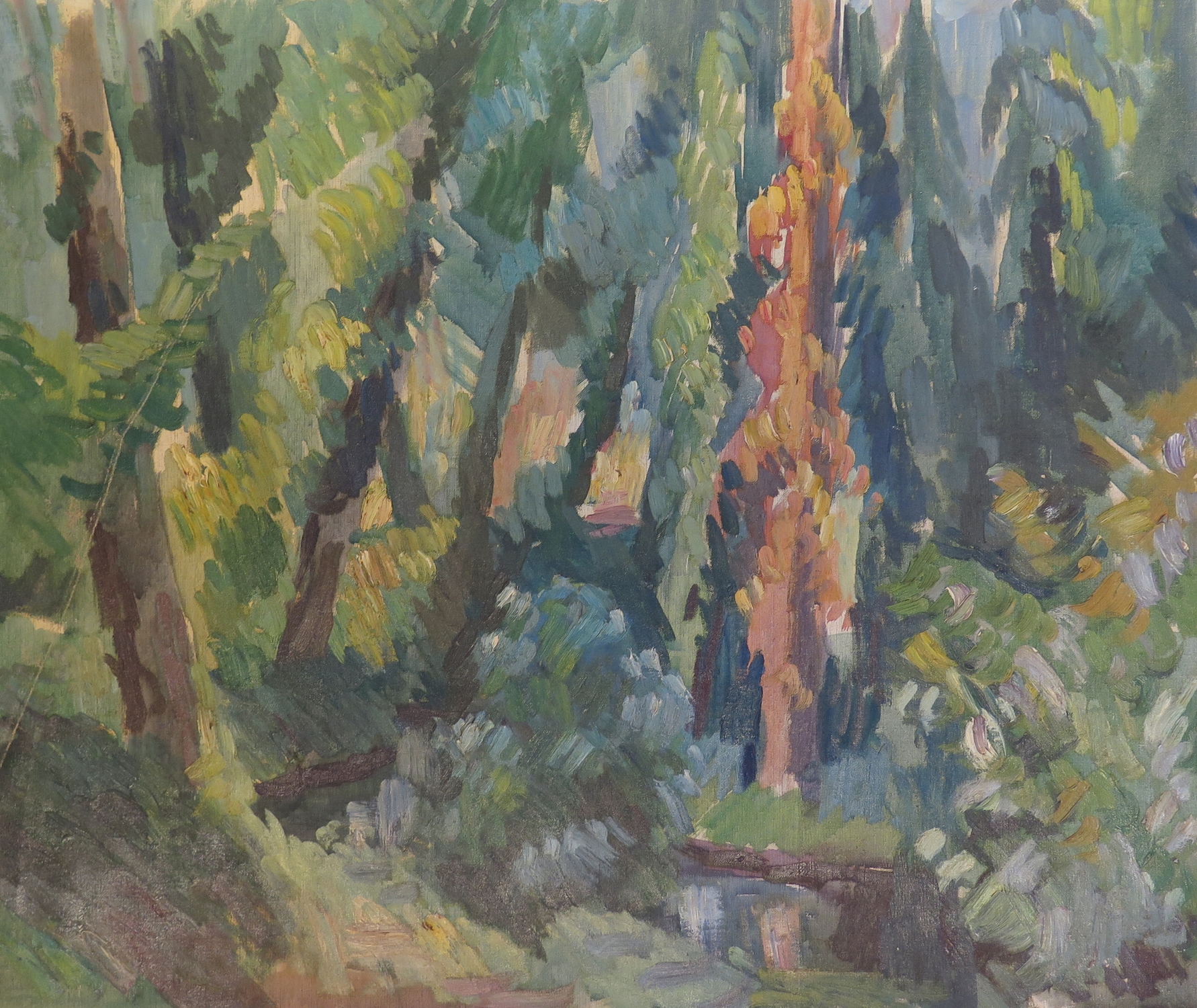 Woods