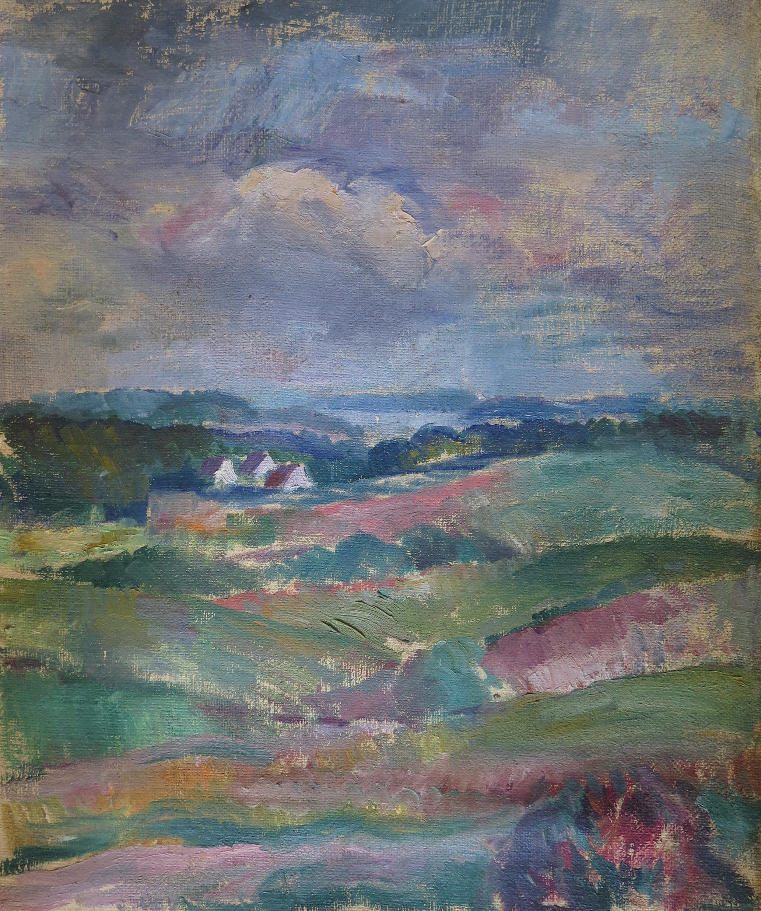 Danish Landscape